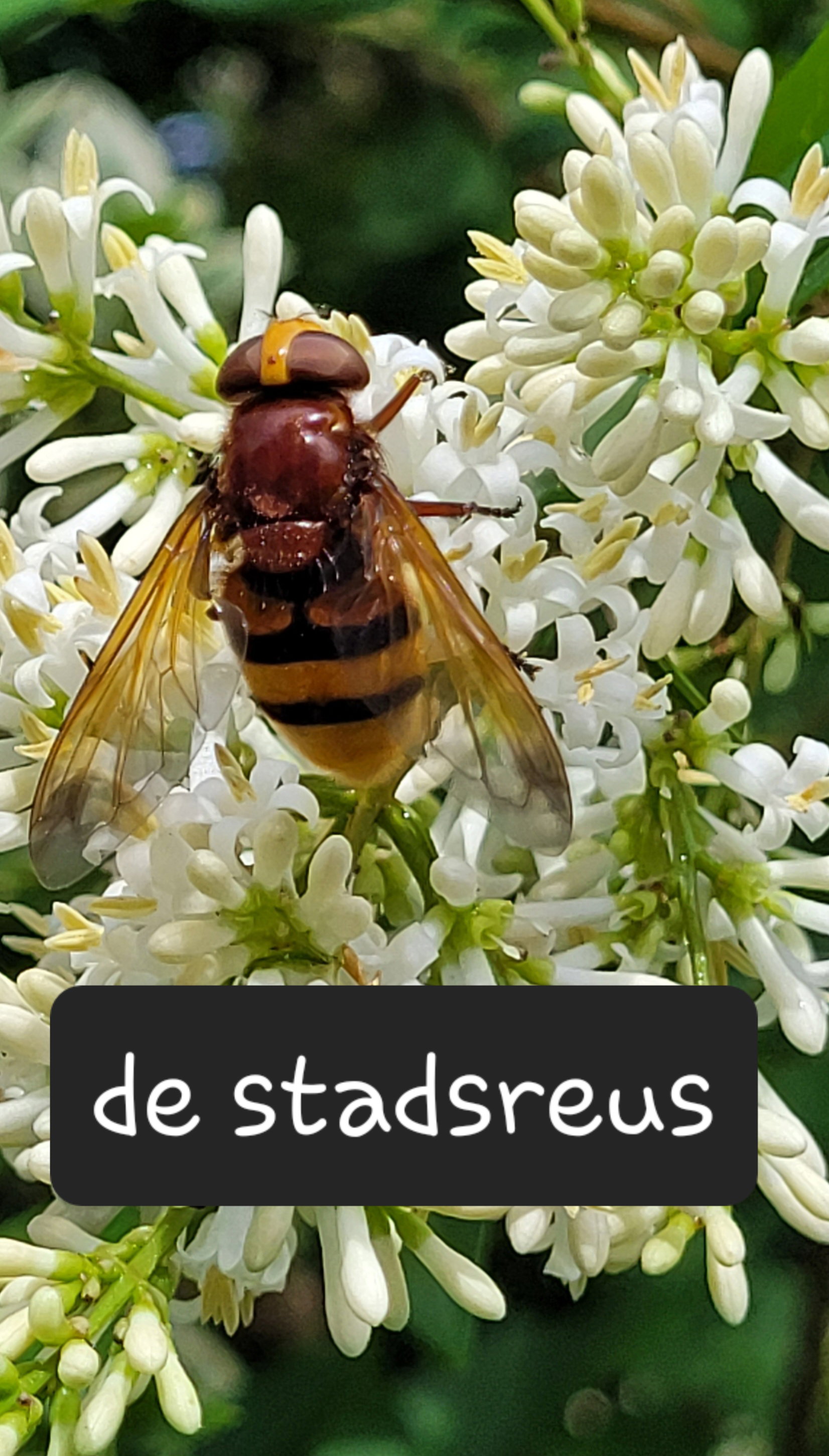 - image: 47