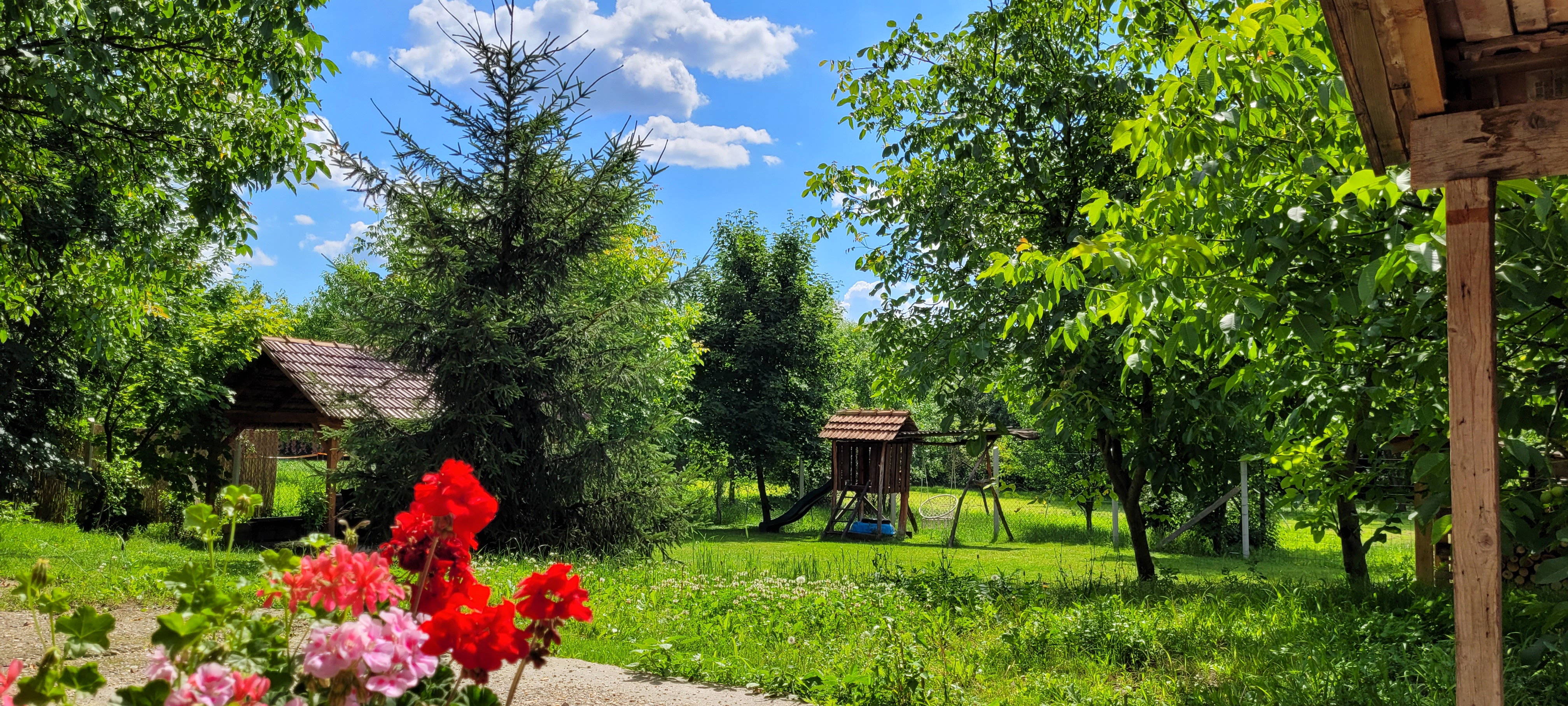 Maison nature à Sály