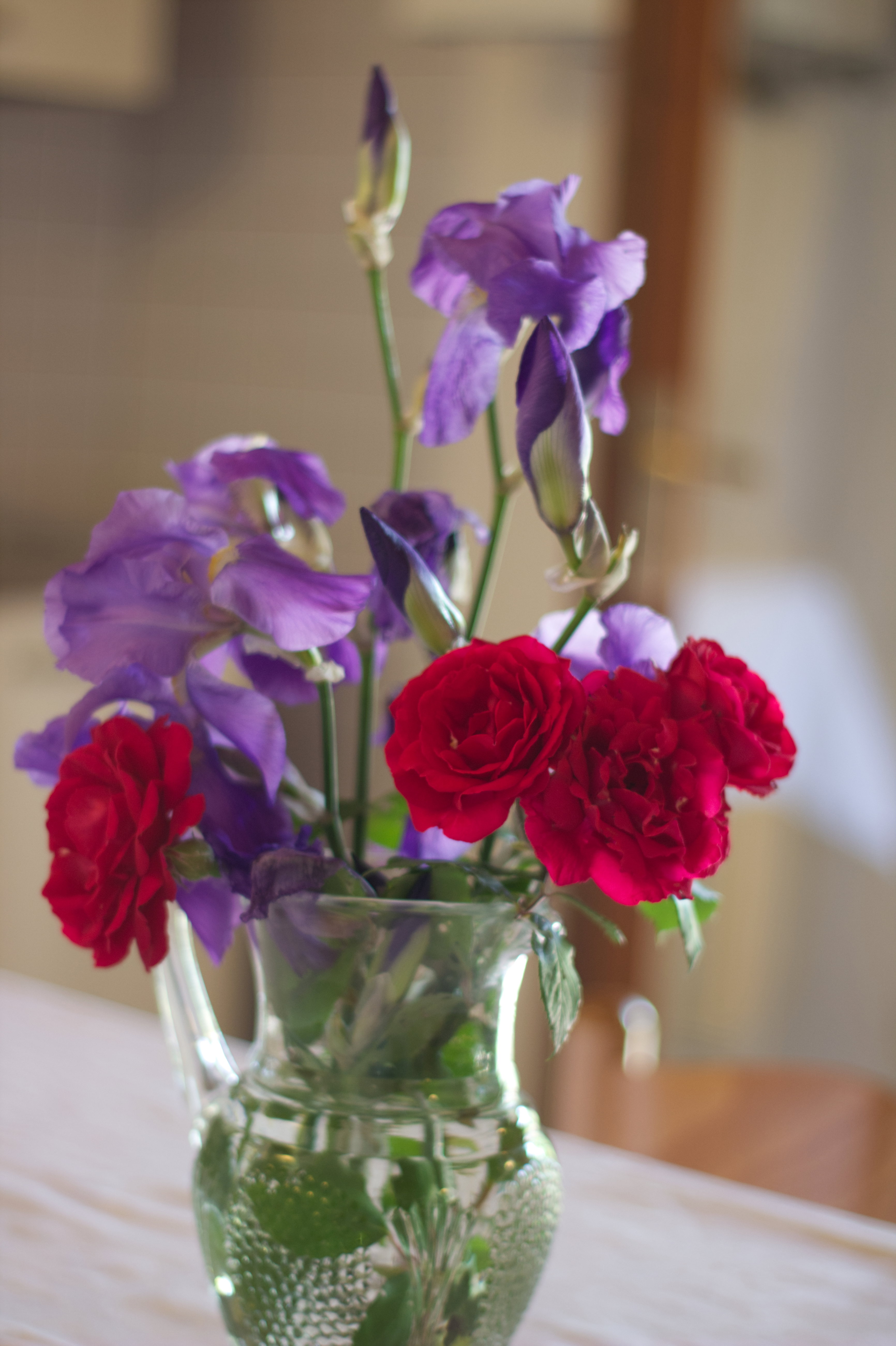 - image: 12
