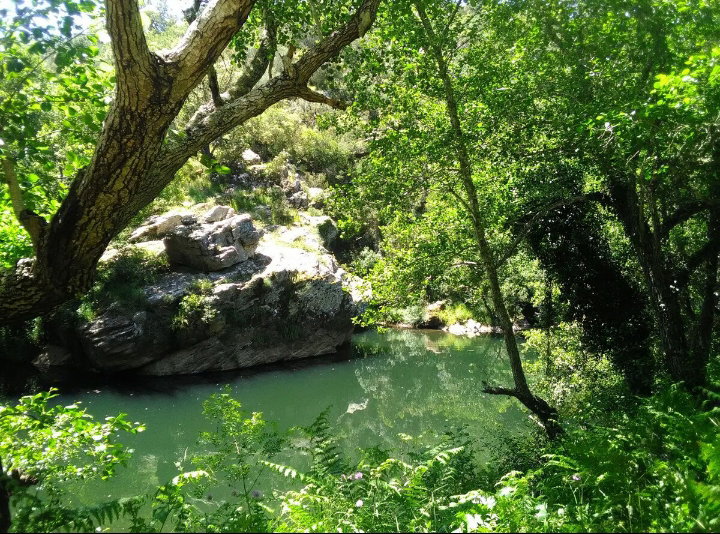 Natuurhuisje in Cercal do Alentejo