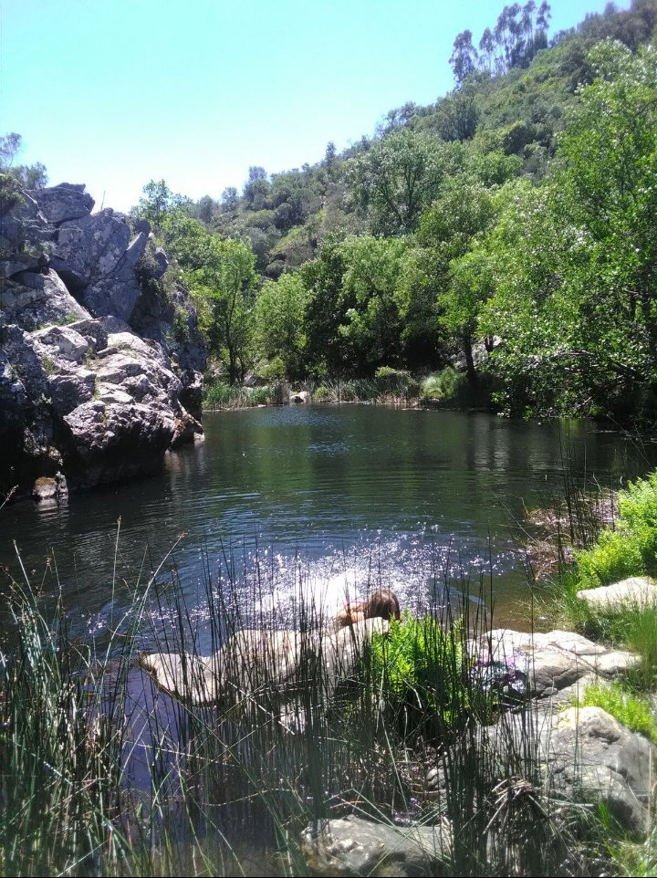 Natuurhuisje in Cercal do Alentejo