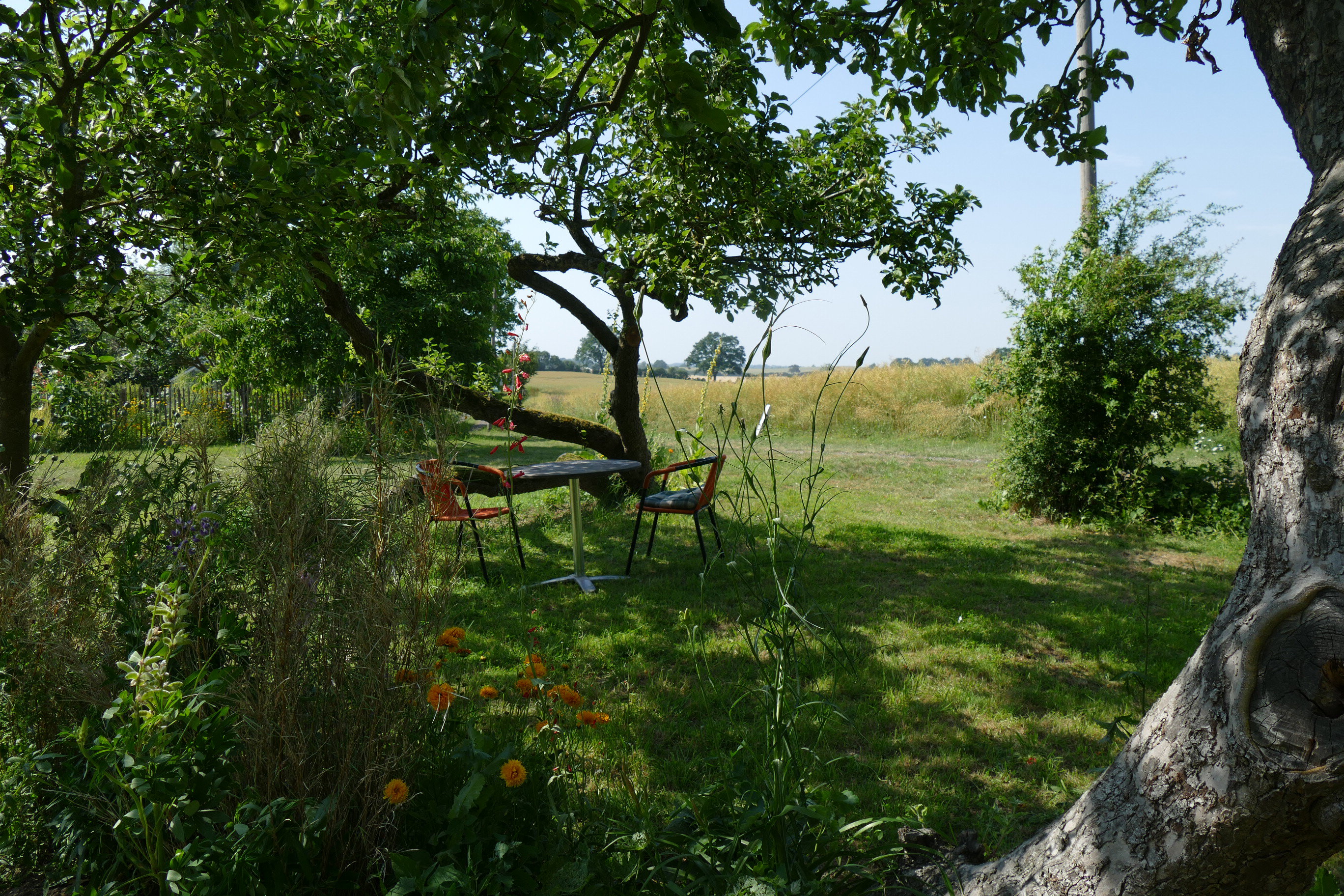 - image: 12