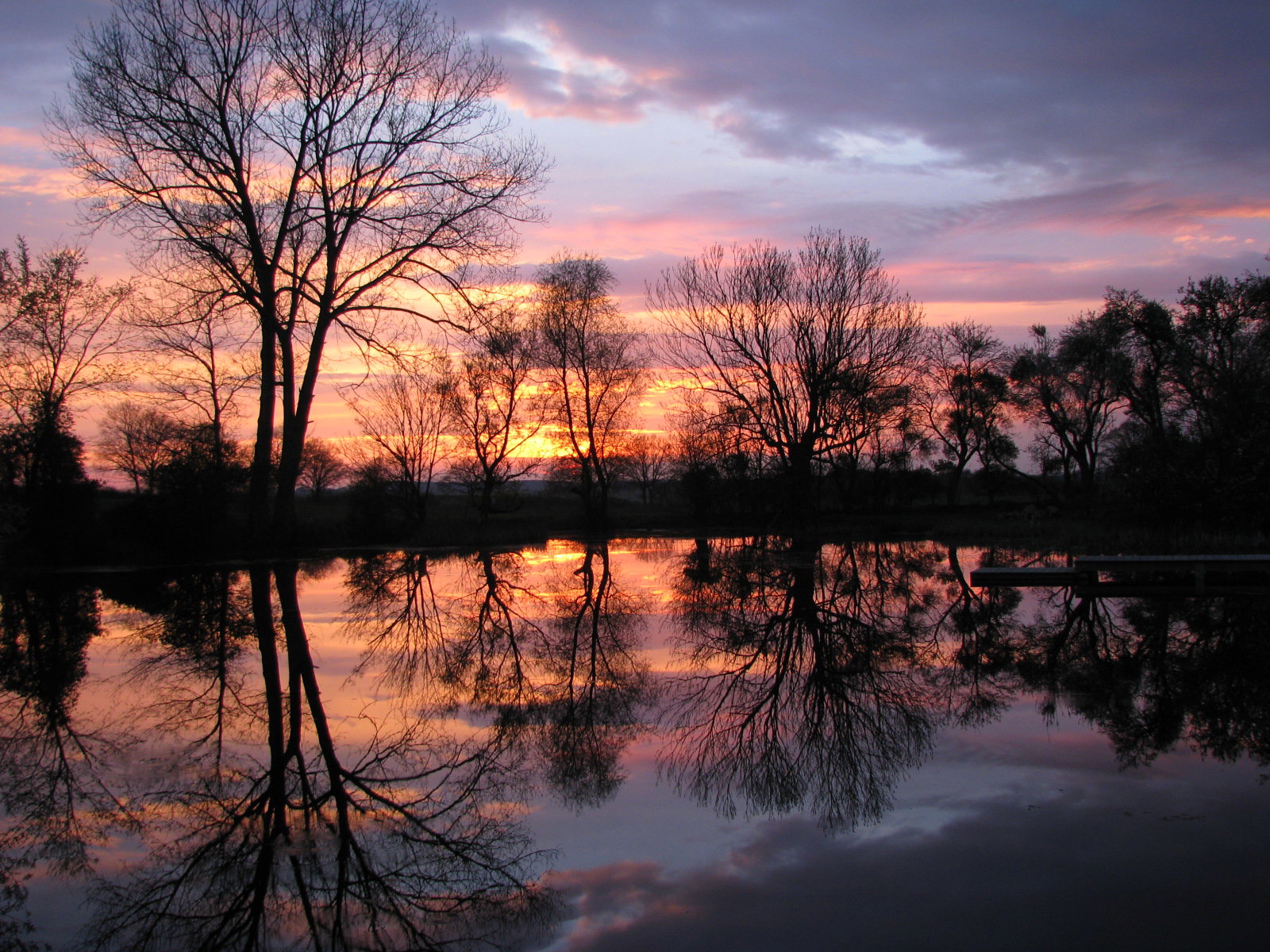 - image: 21