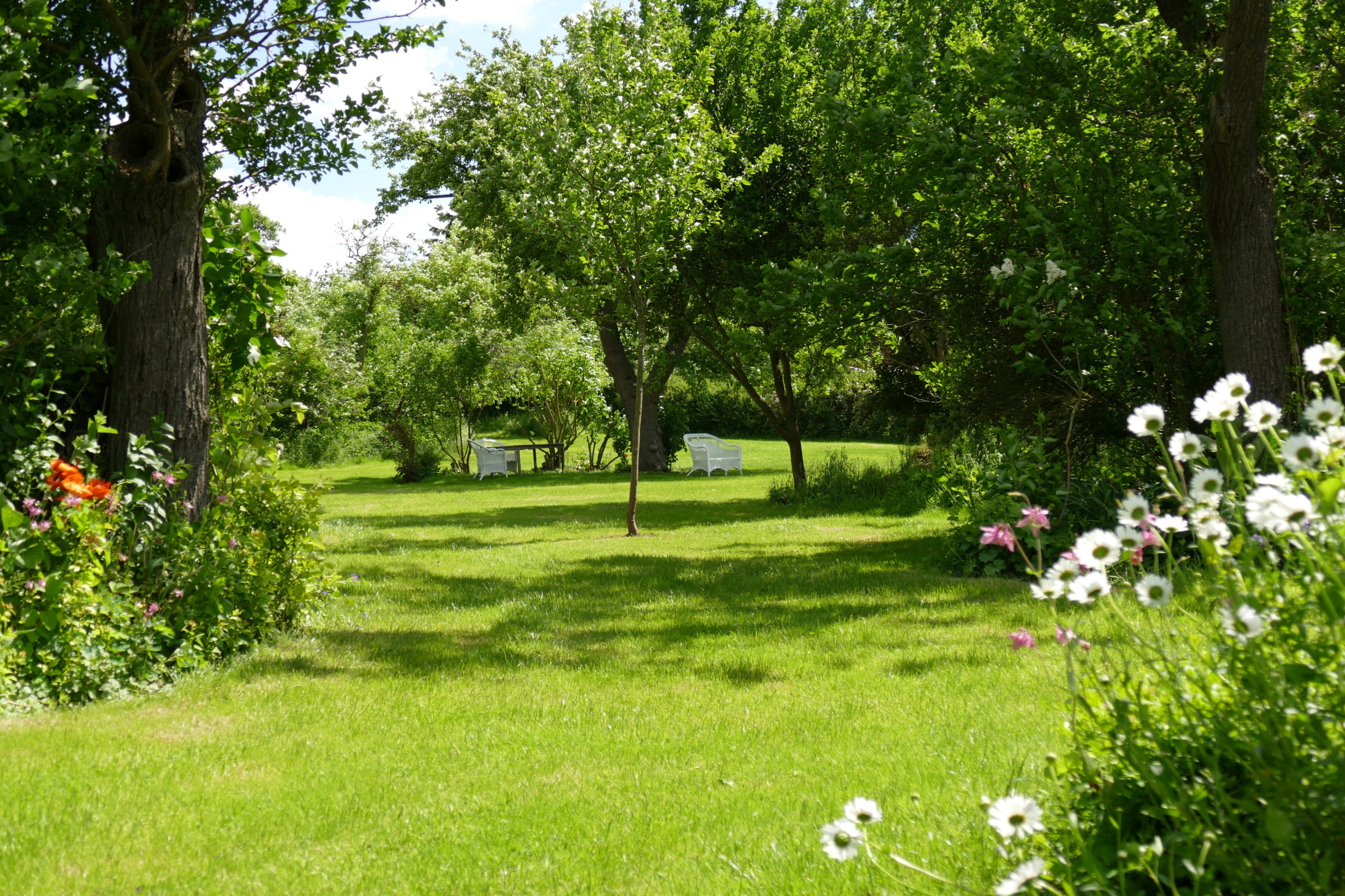 - image: 25