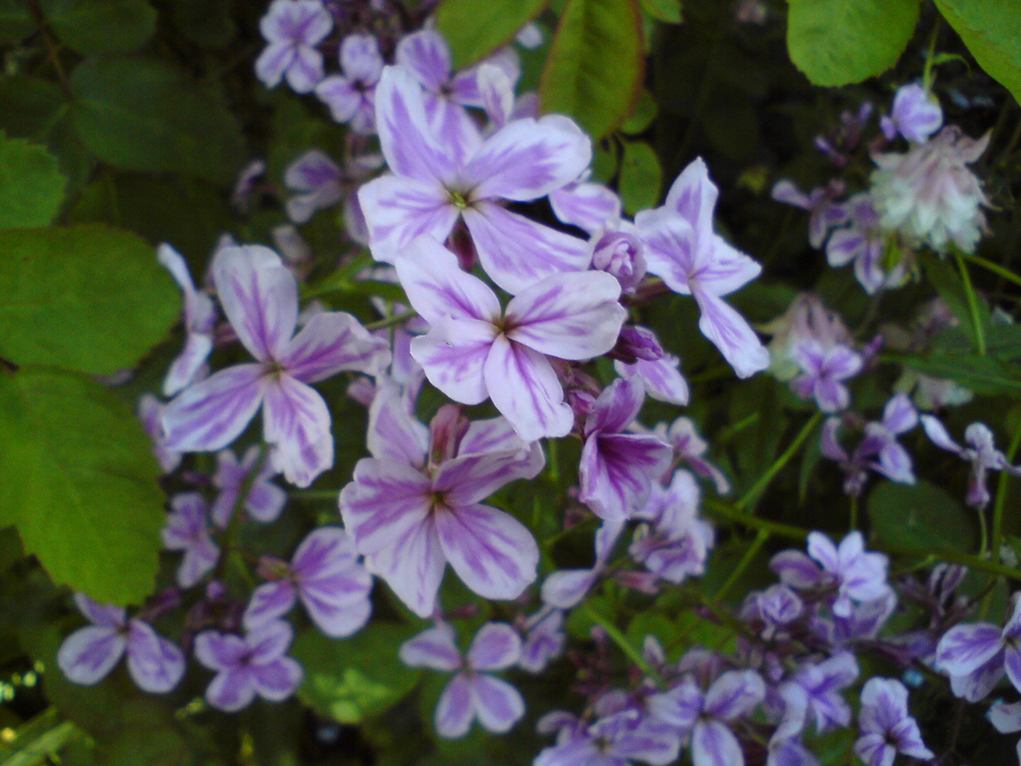 - image: 15
