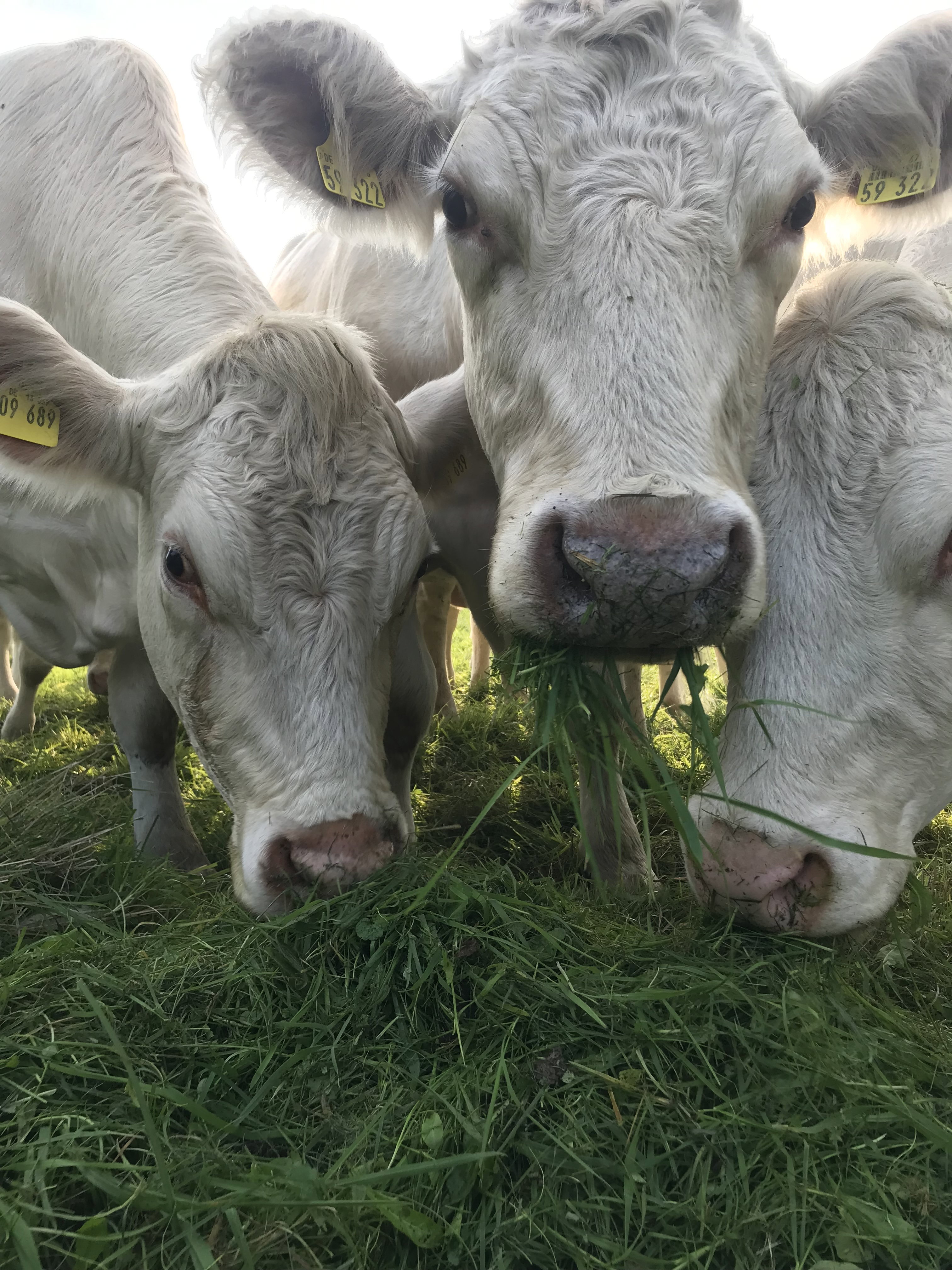 Naturhäuschen in Neuenkirchen / Rügen