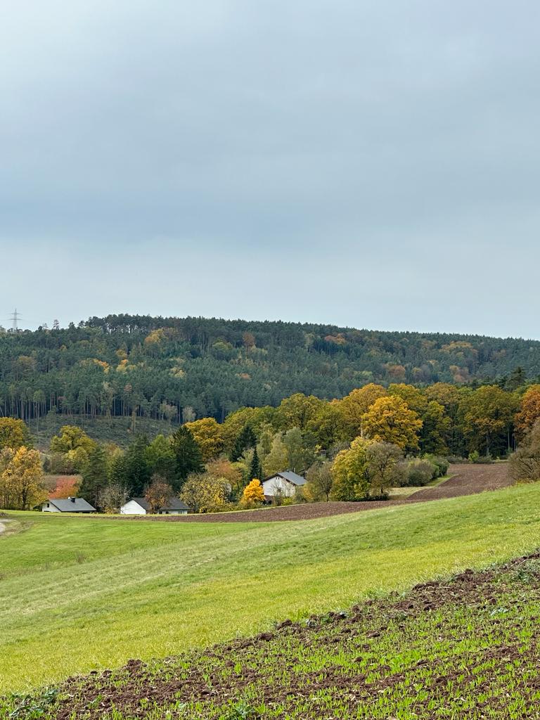 - image: 26