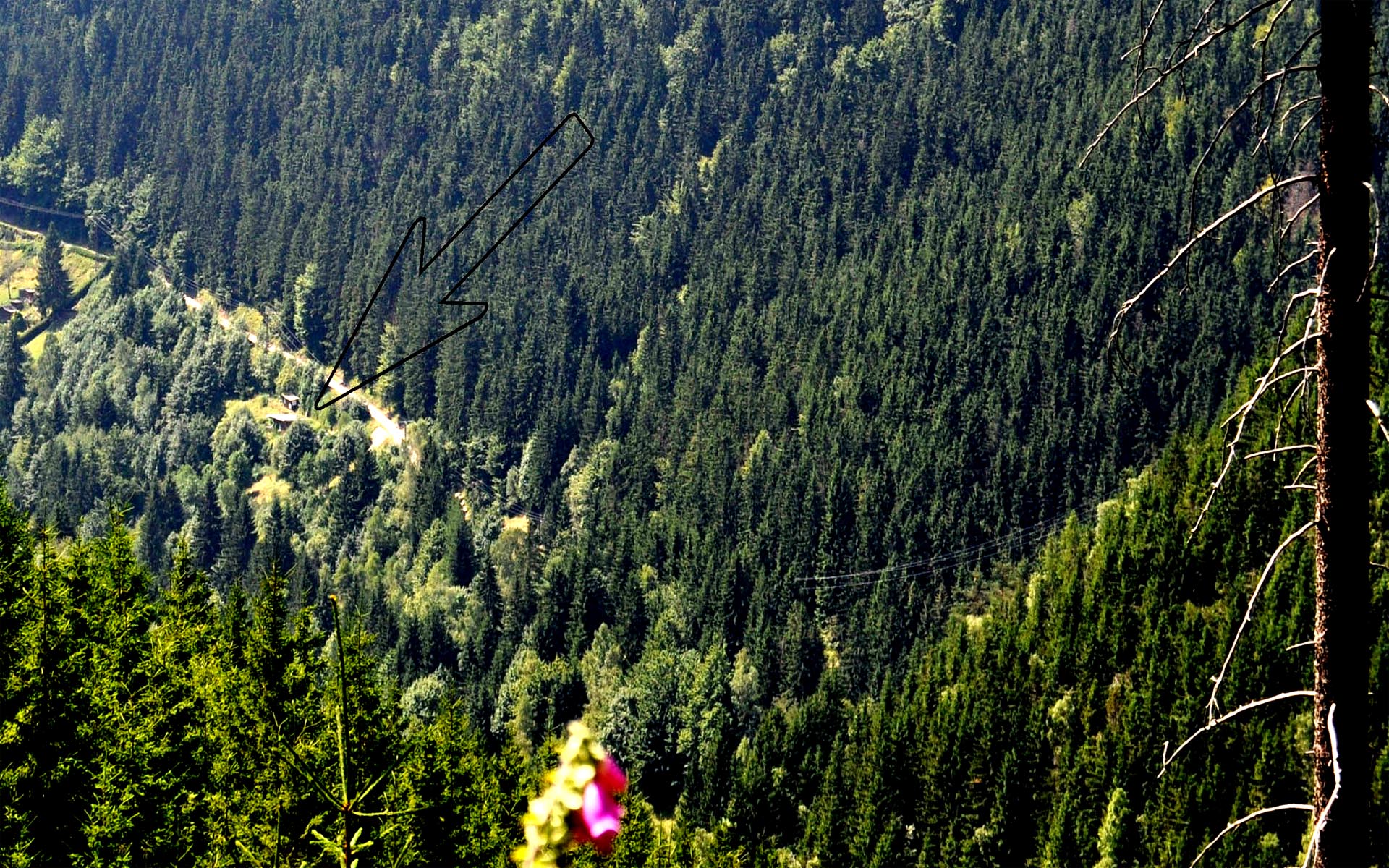 Naturhäuschen in Lauscha