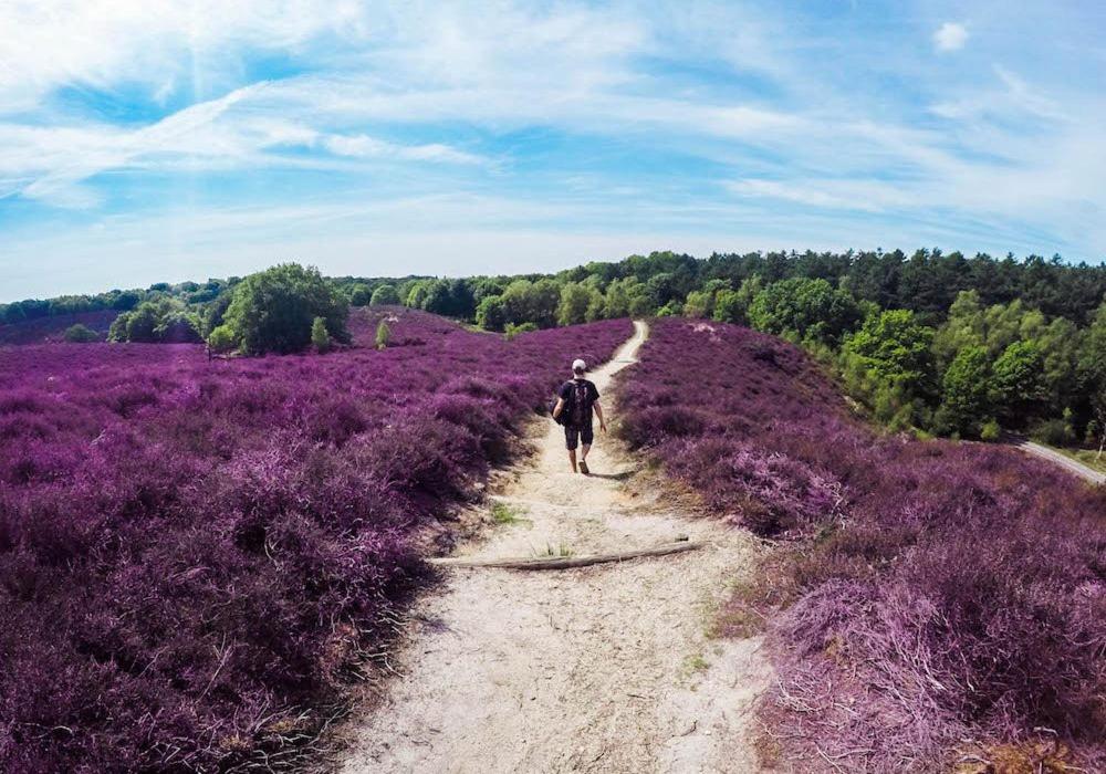 - image: 35