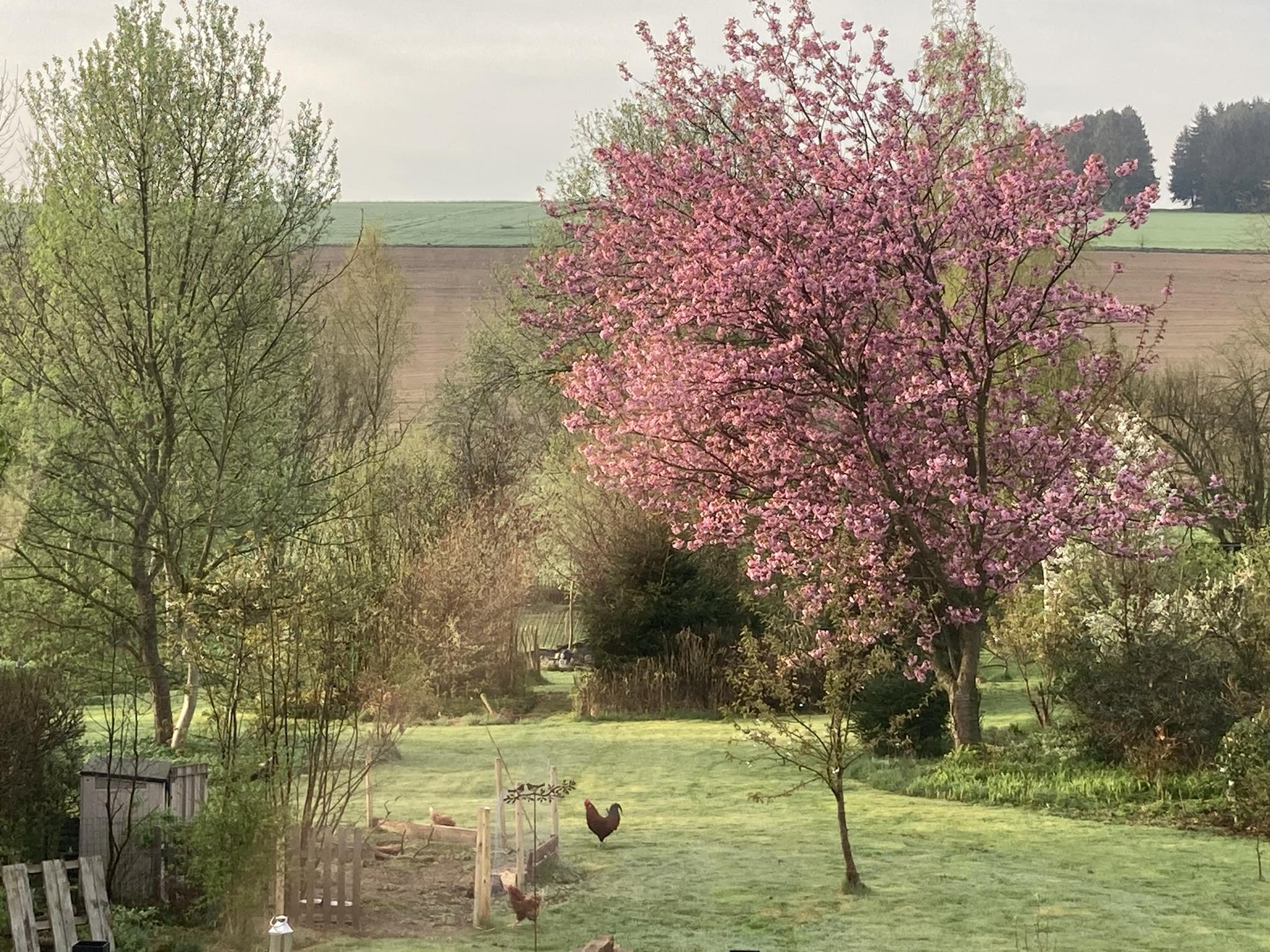 Natuurhuisje in Wibrin