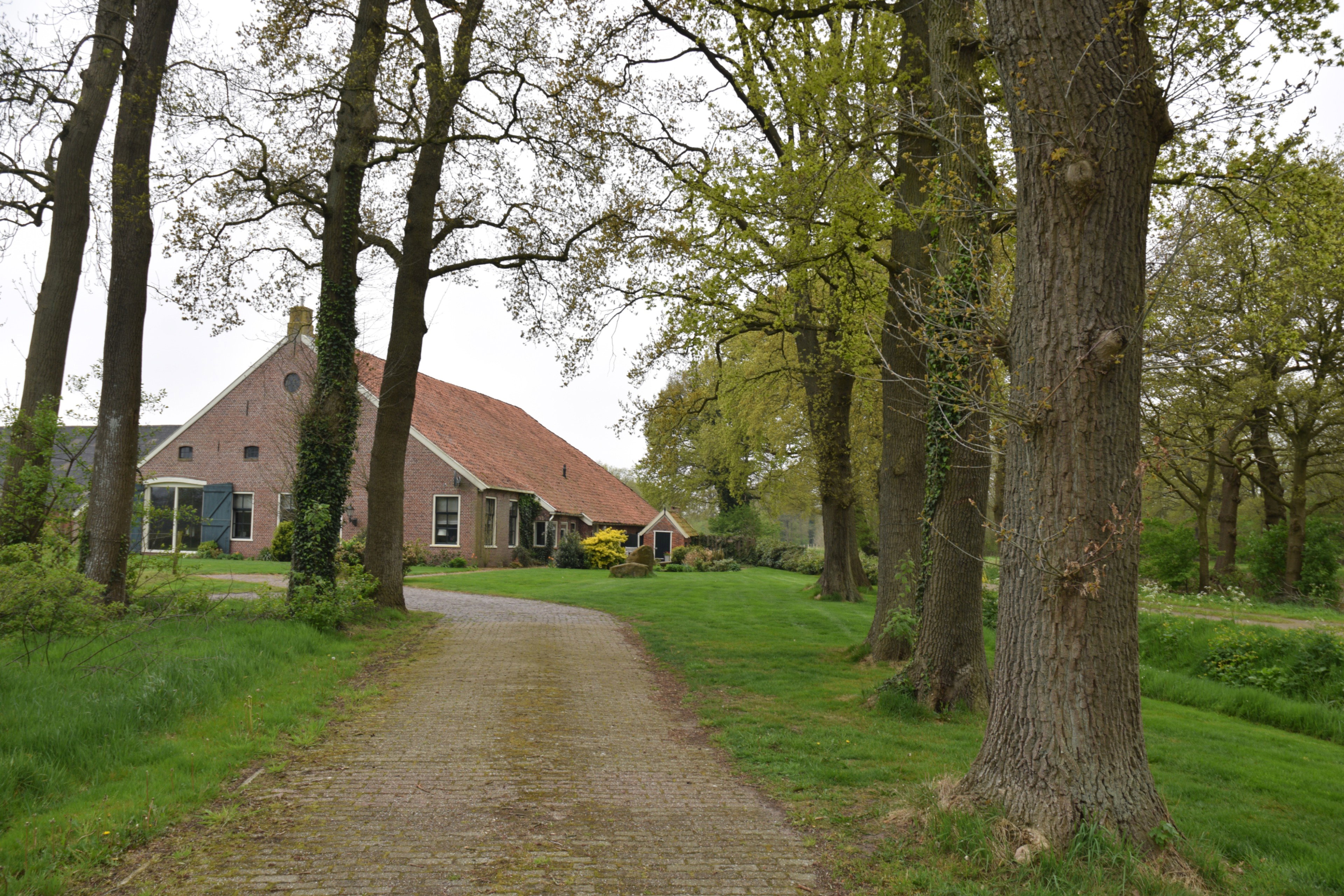 - image: 13