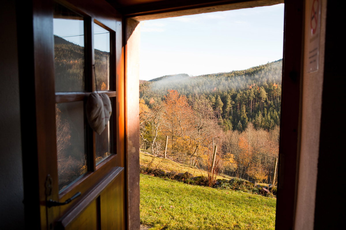 Maison nature à SAINTE CROIX AUX MINES