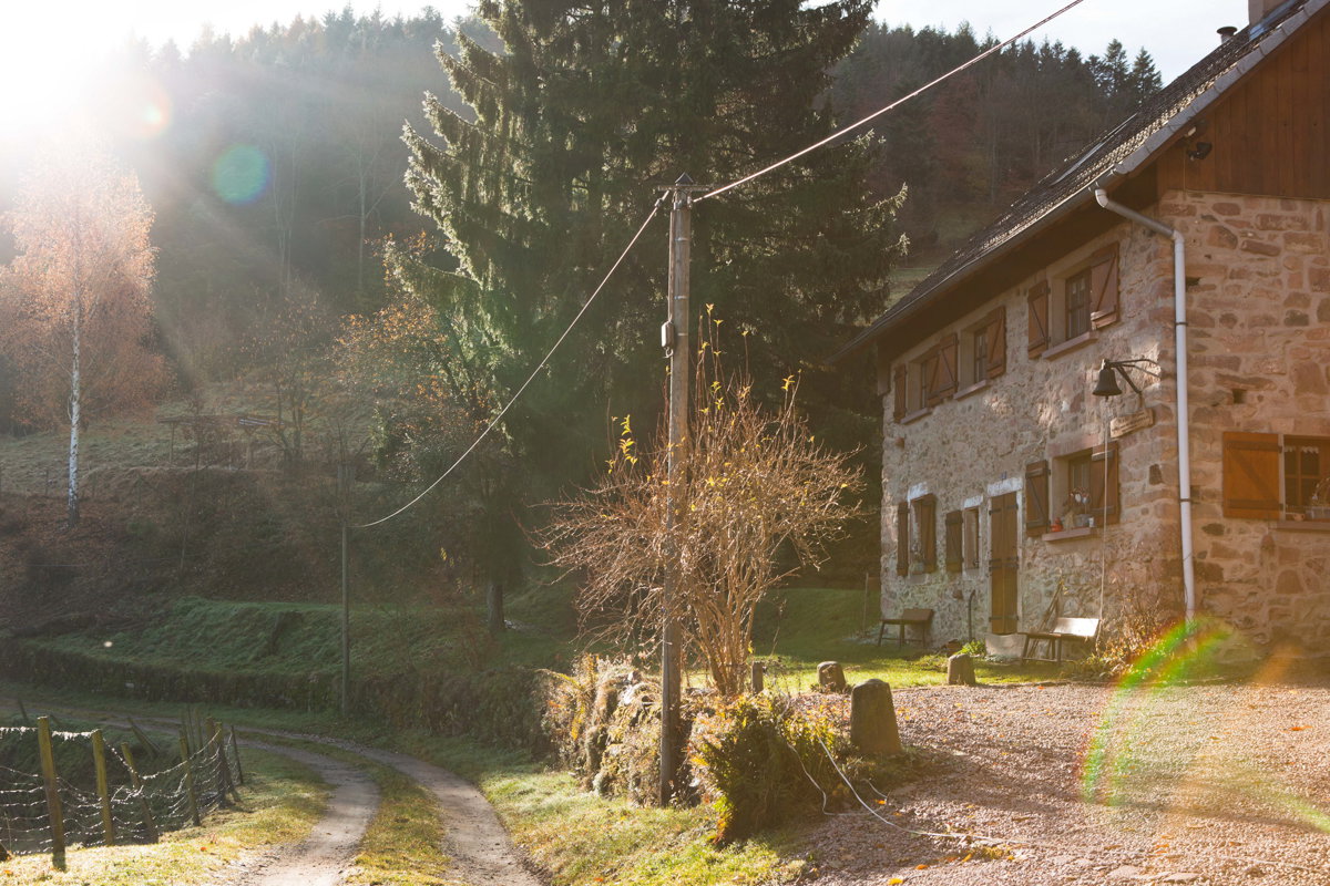 Maison nature à SAINTE CROIX AUX MINES