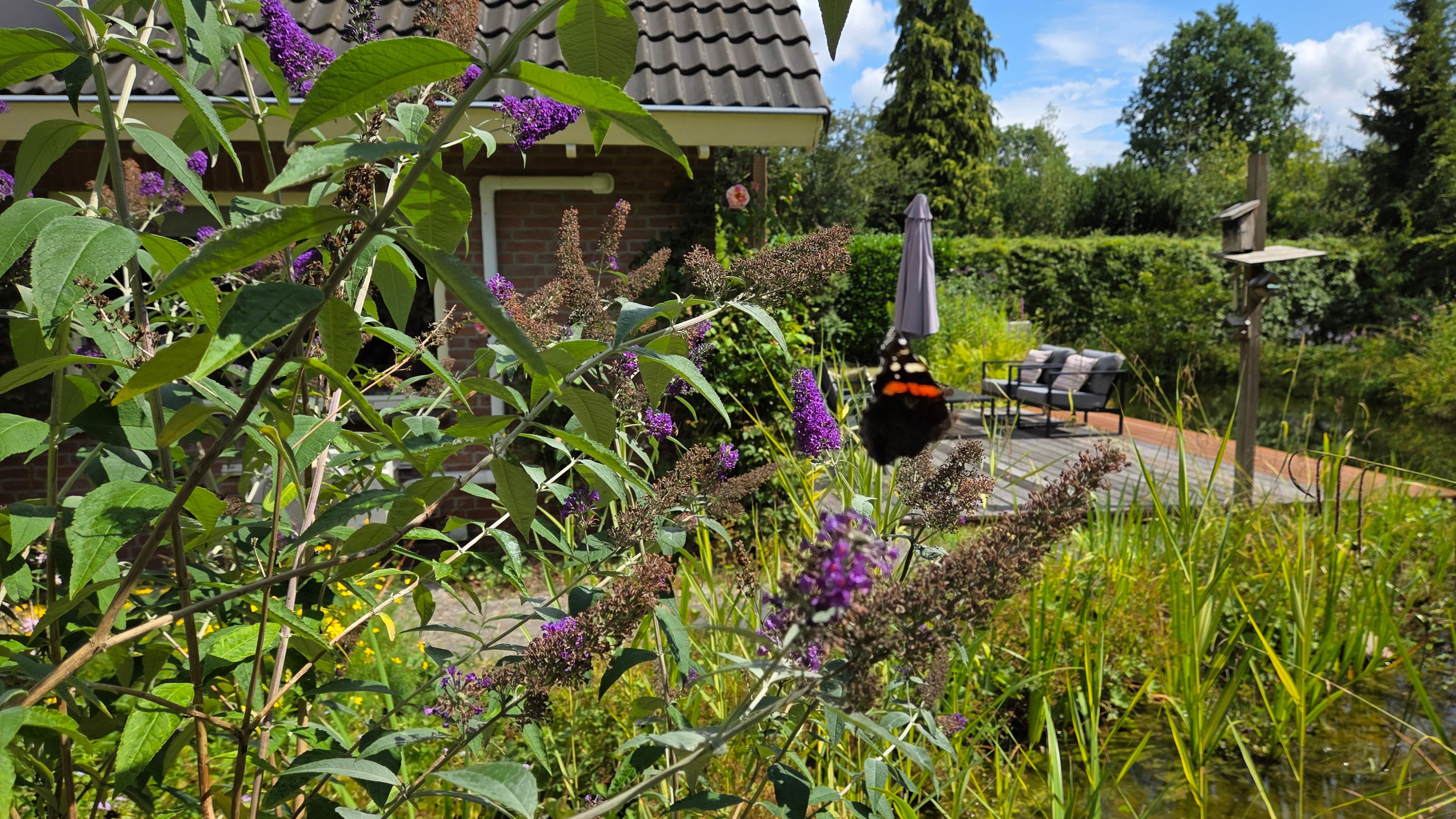 Naturhäuschen in Zorgvlied