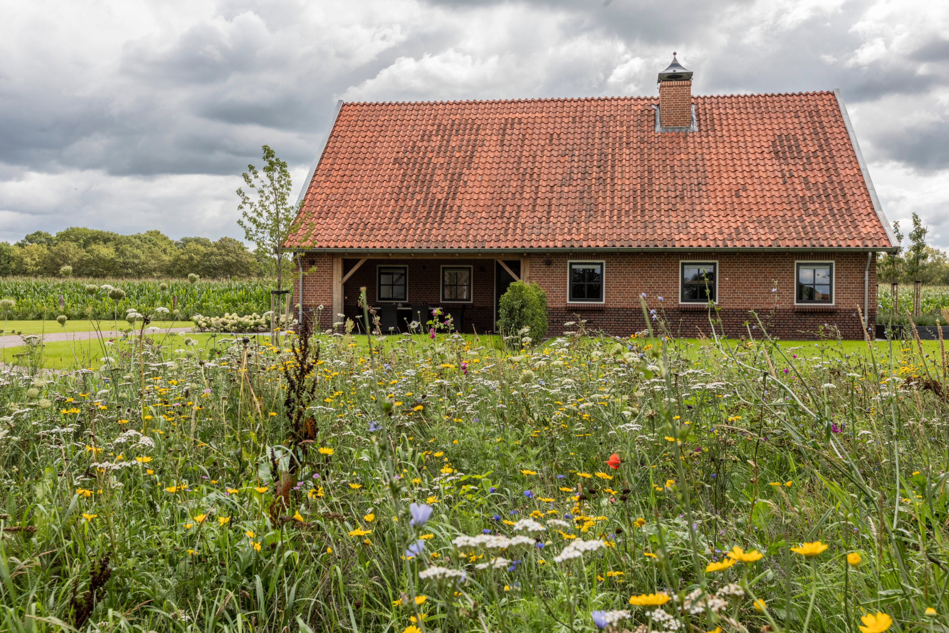 Natuurhuisje in Rietmolen