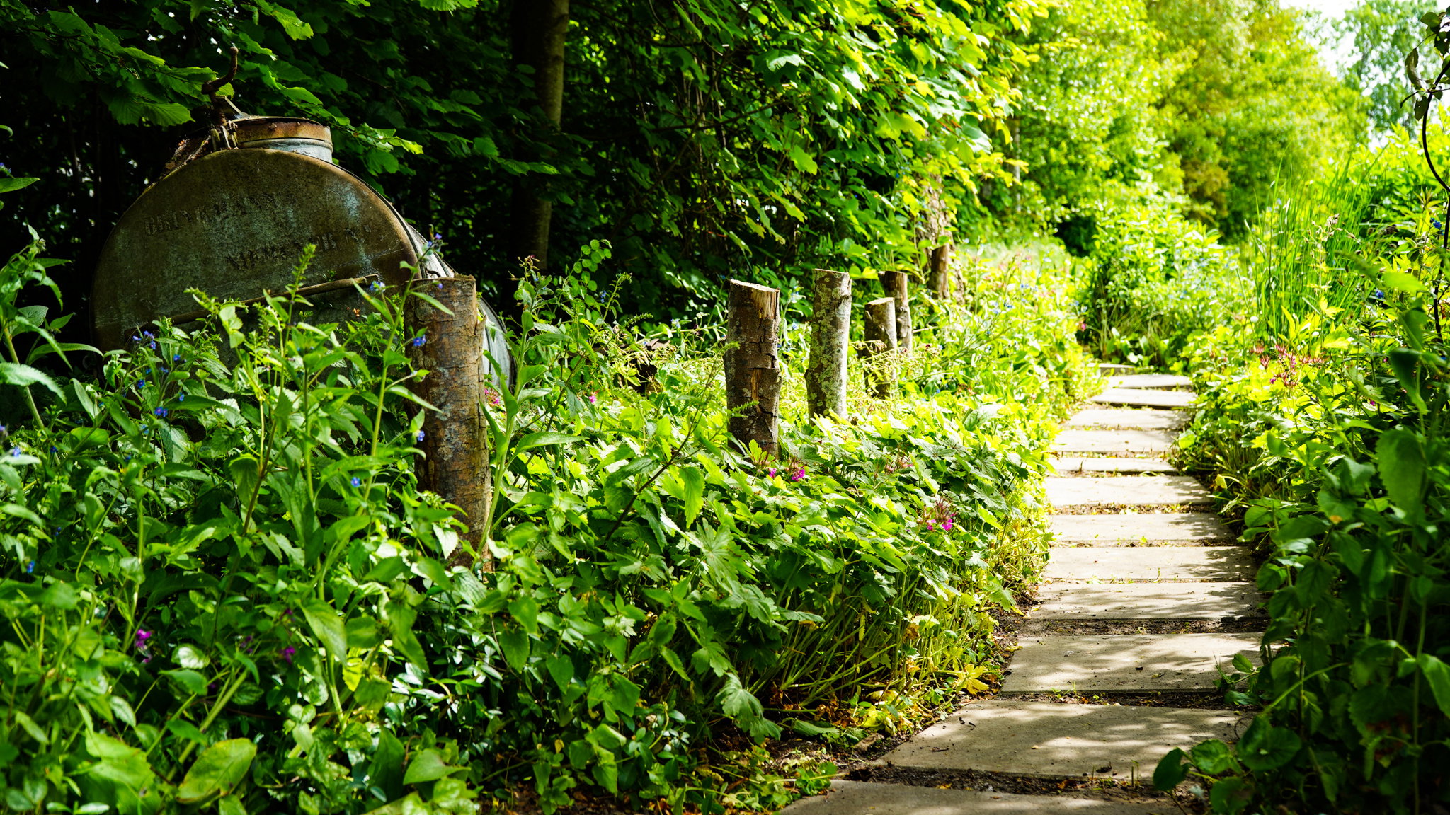 Natuurhuisje in Vasse