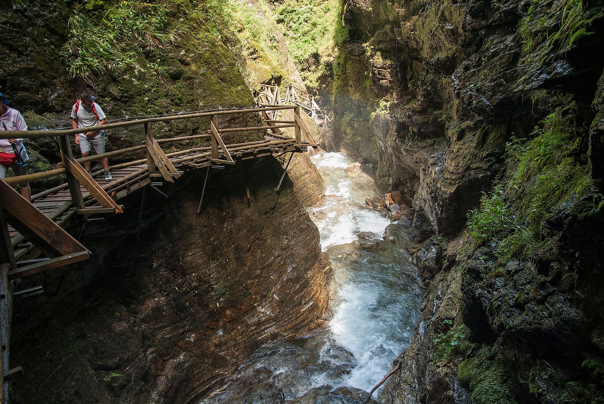- image: 19