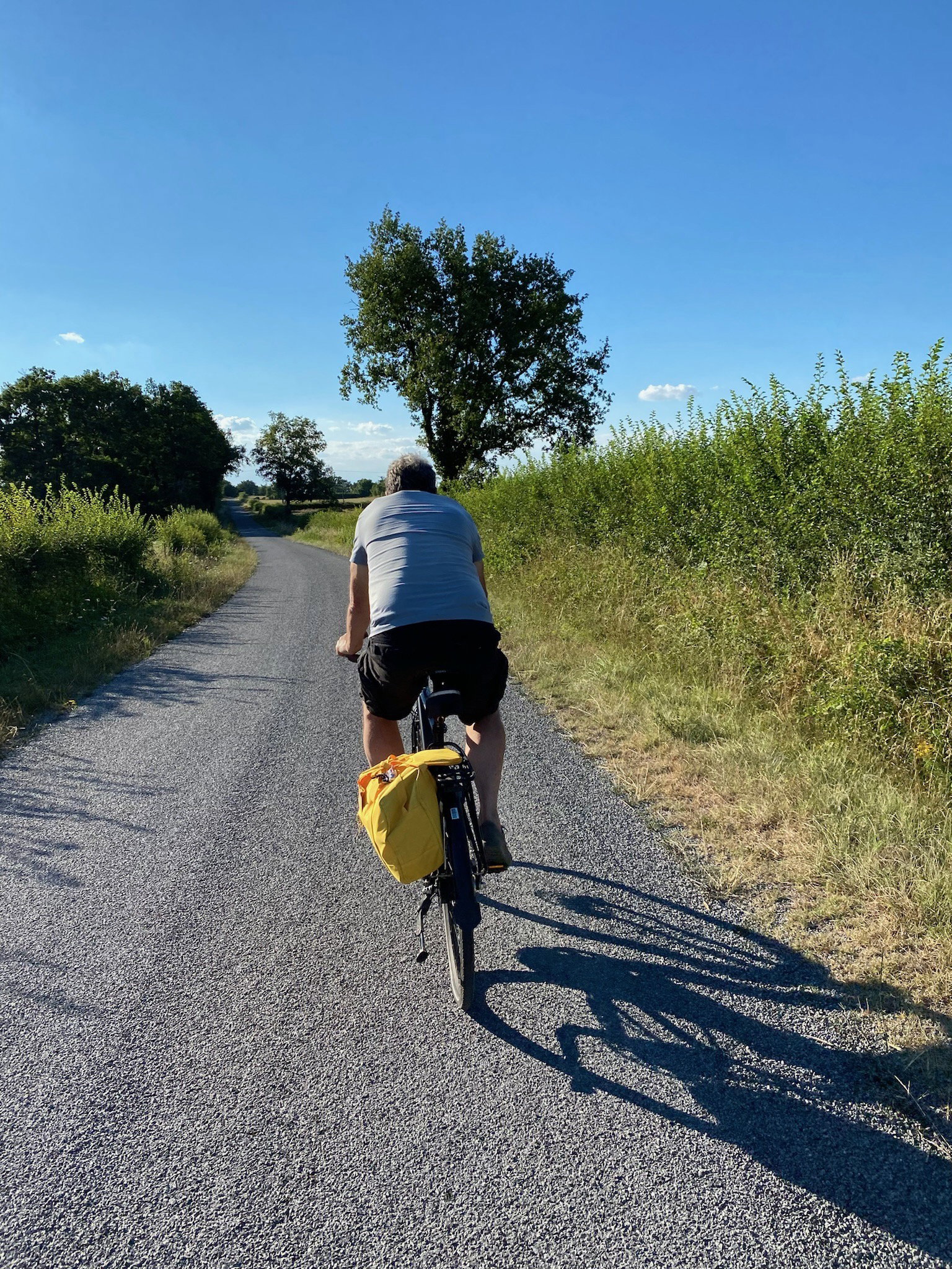 - image: 31