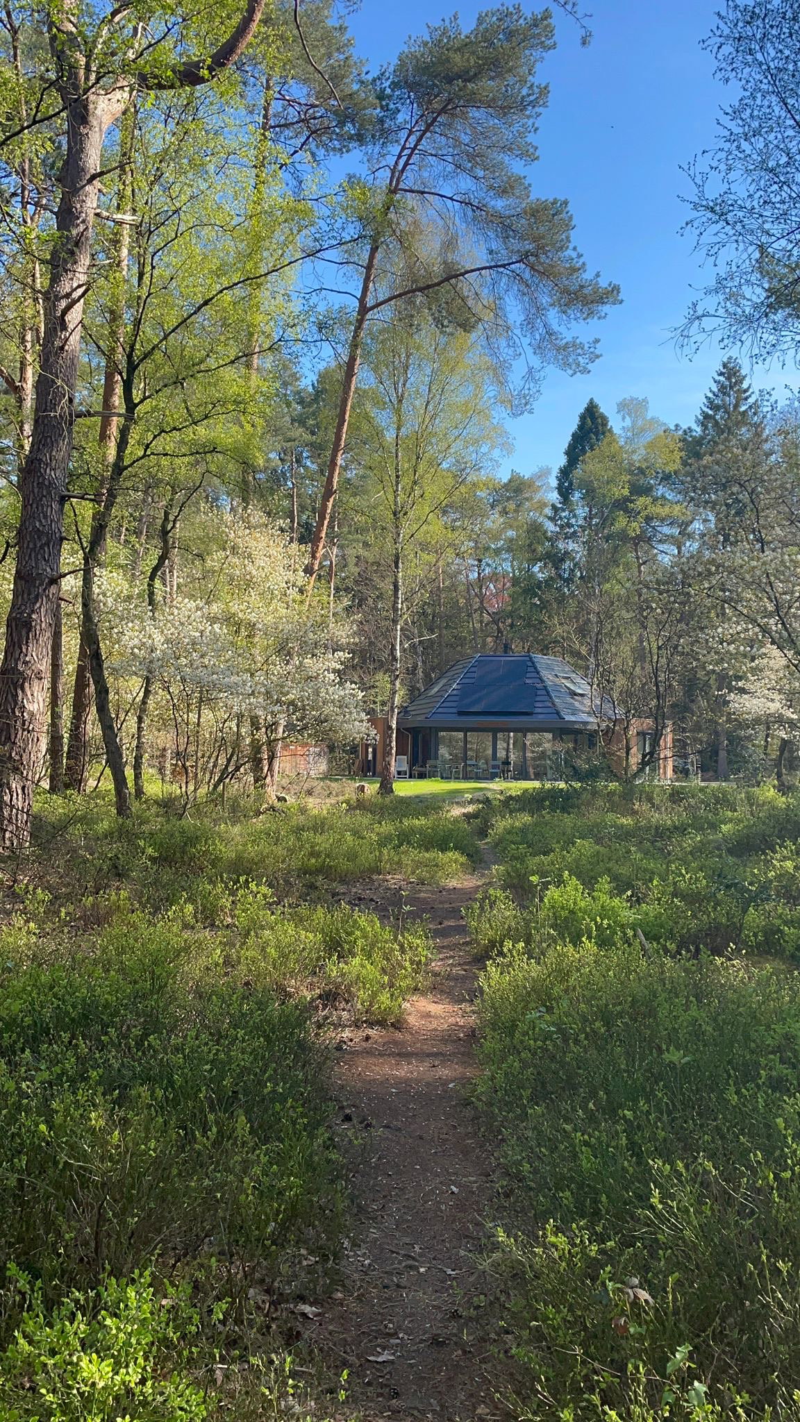 Casa nella natura a Vierhouten