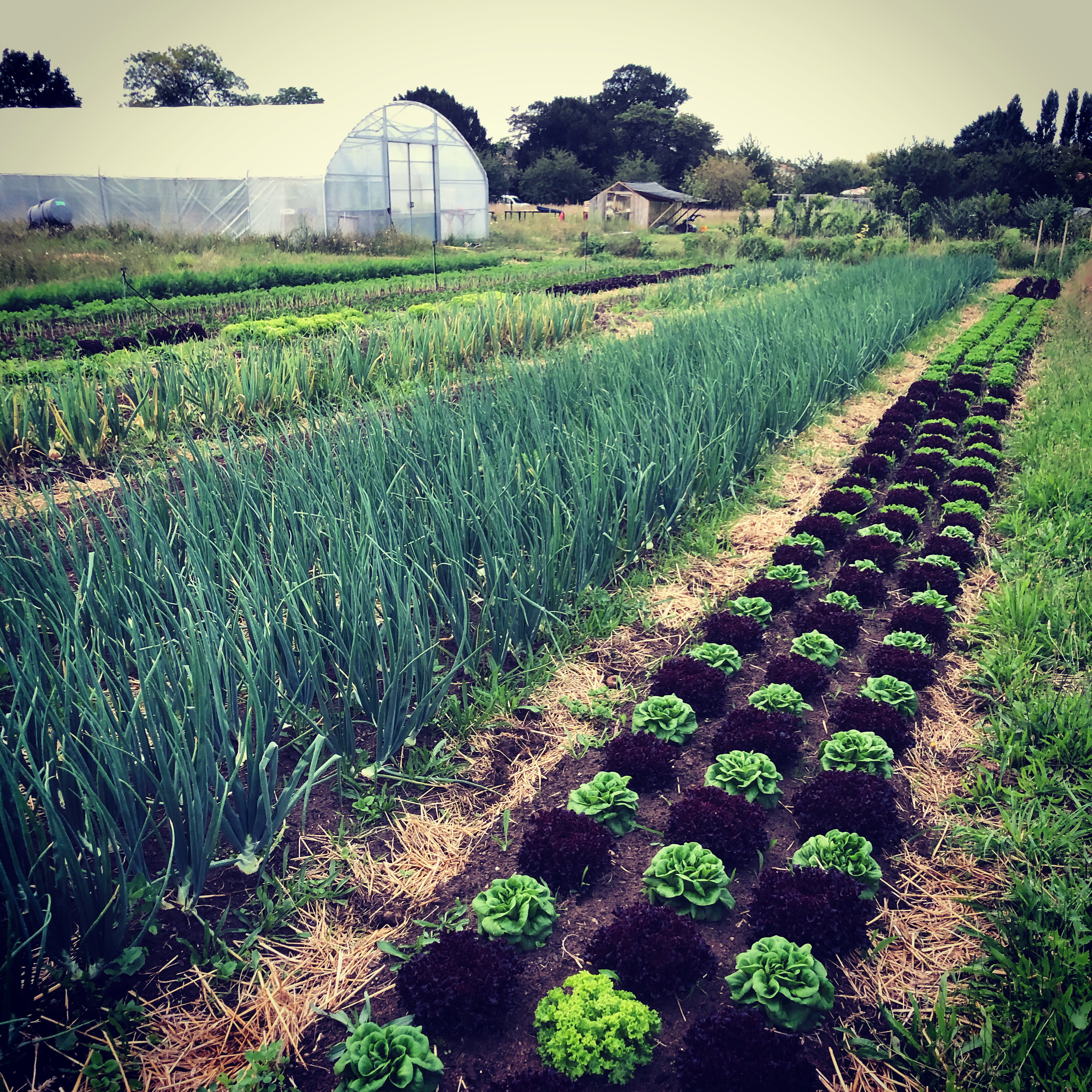 - image: 69