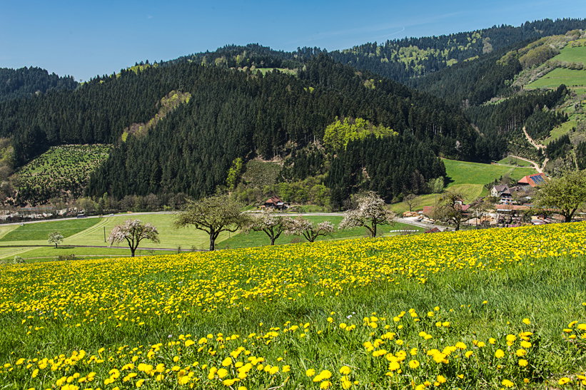 Naturhäuschen in Oberharmersbach