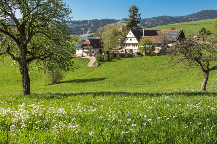 Naturhäuschen in Oberharmersbach