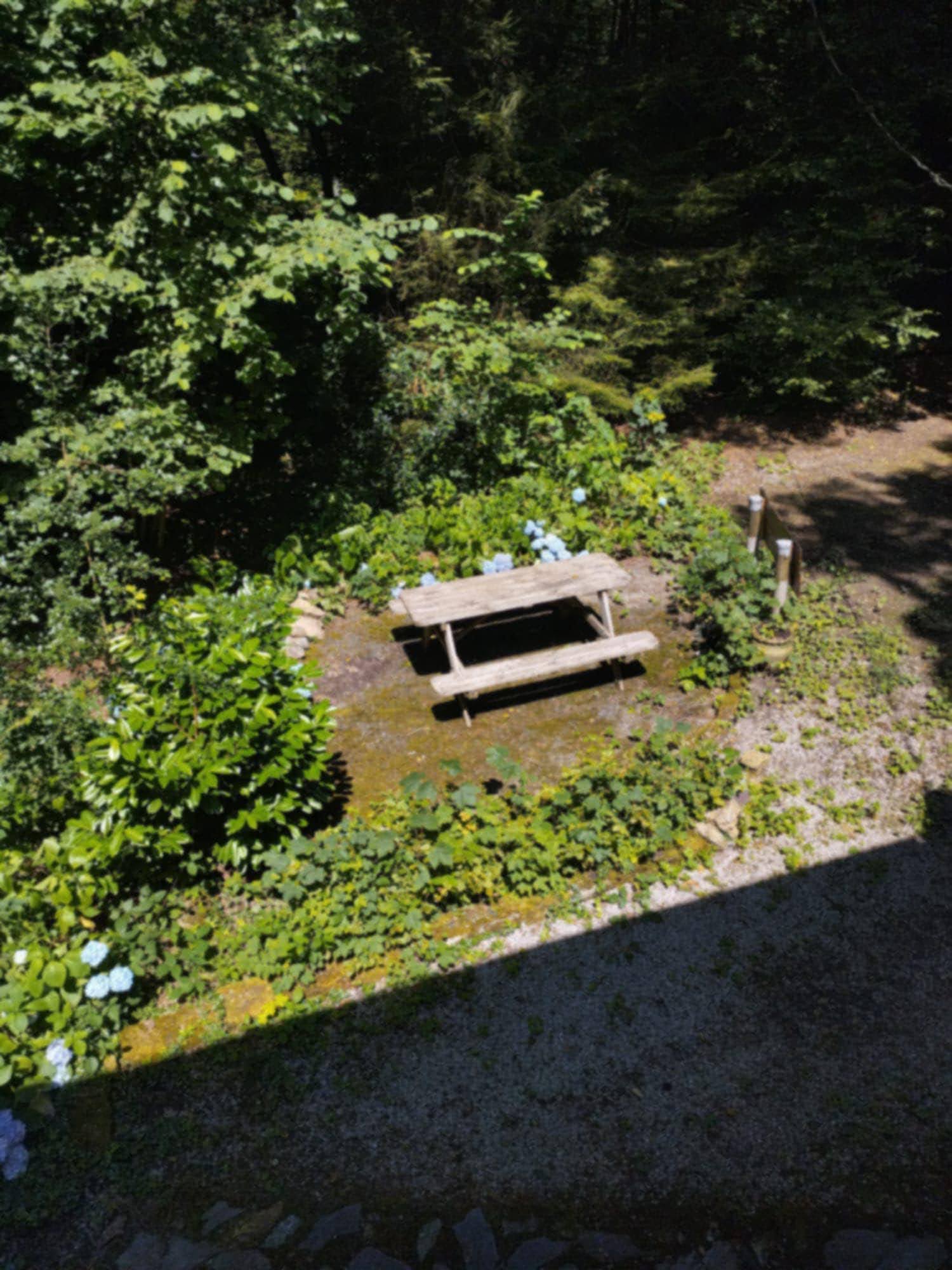 - image: 25