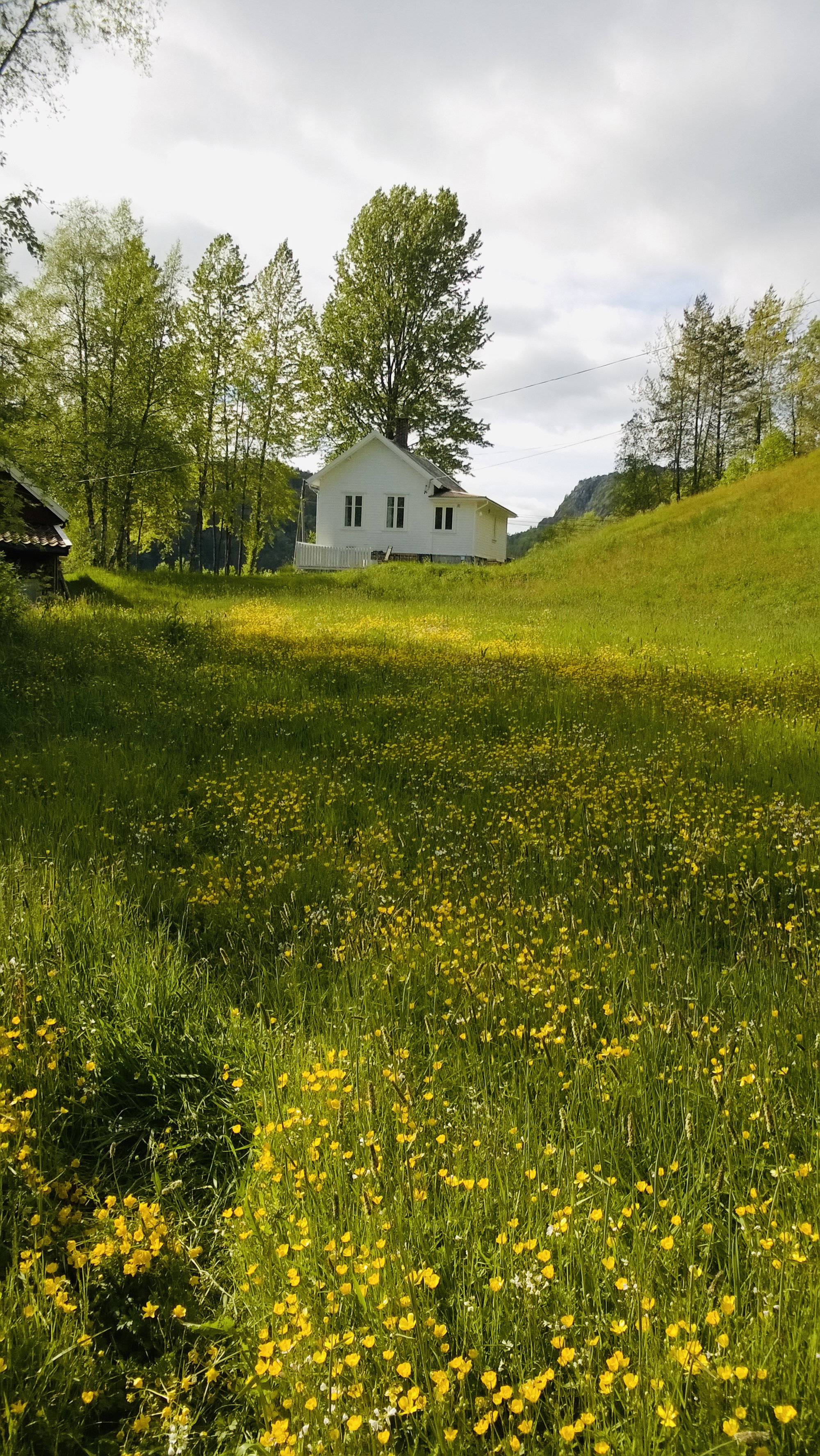 Casa nella natura a Flekkefjord