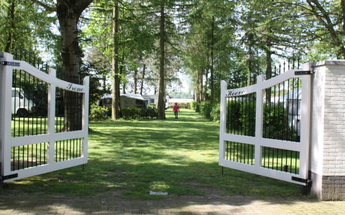 - image: 1