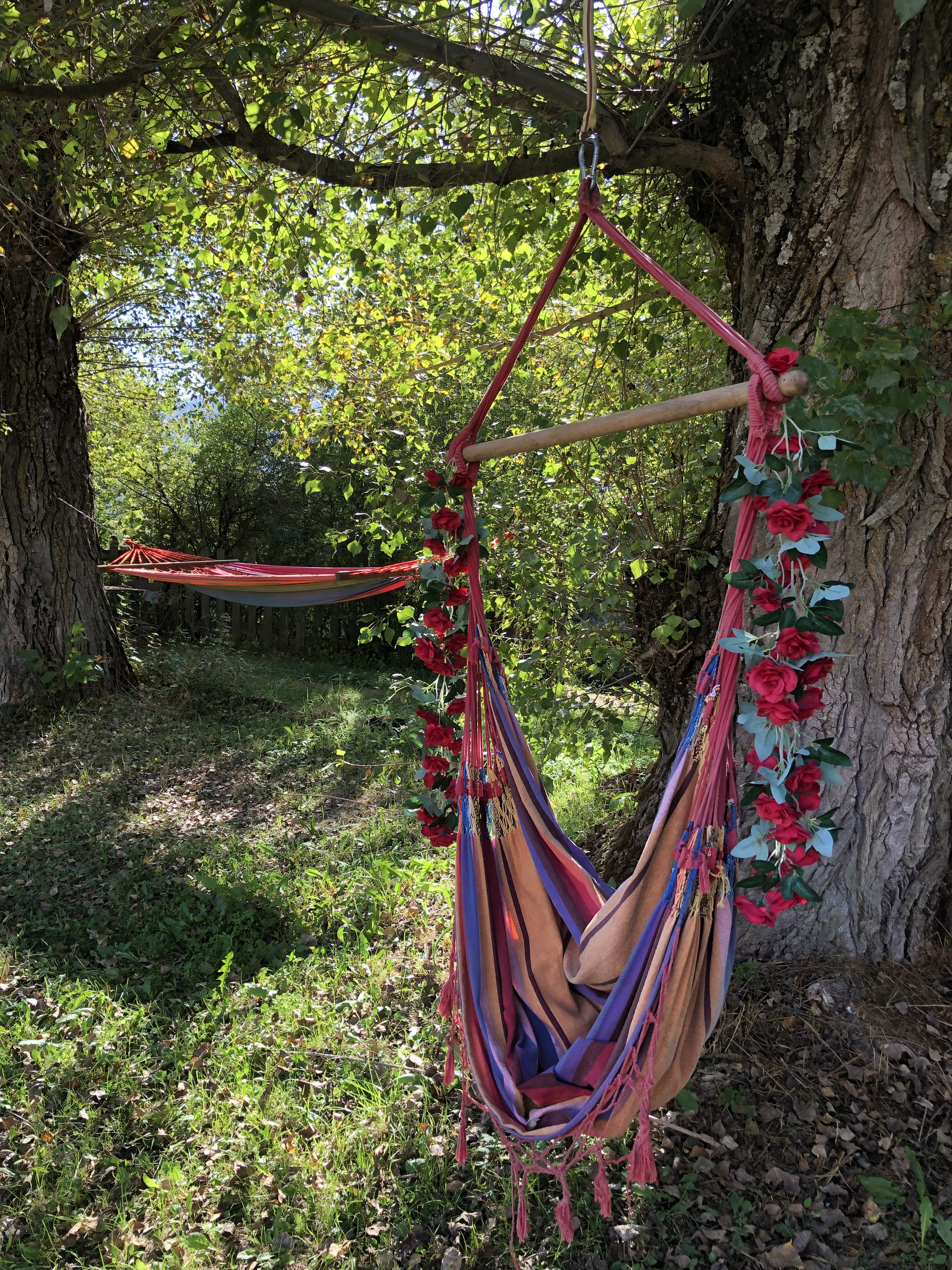 - image: 38
