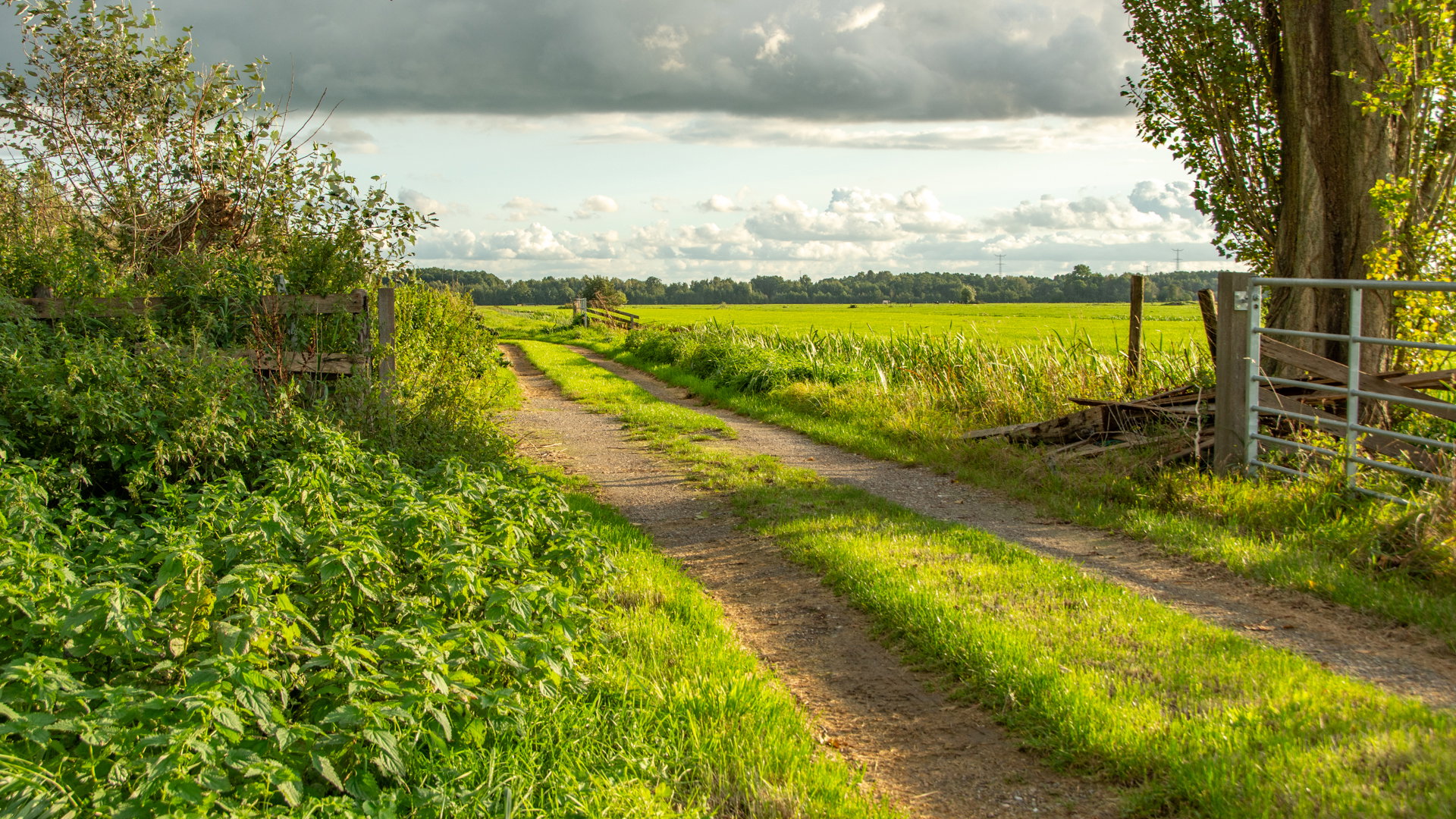 Naturhäuschen in Berkenwoude