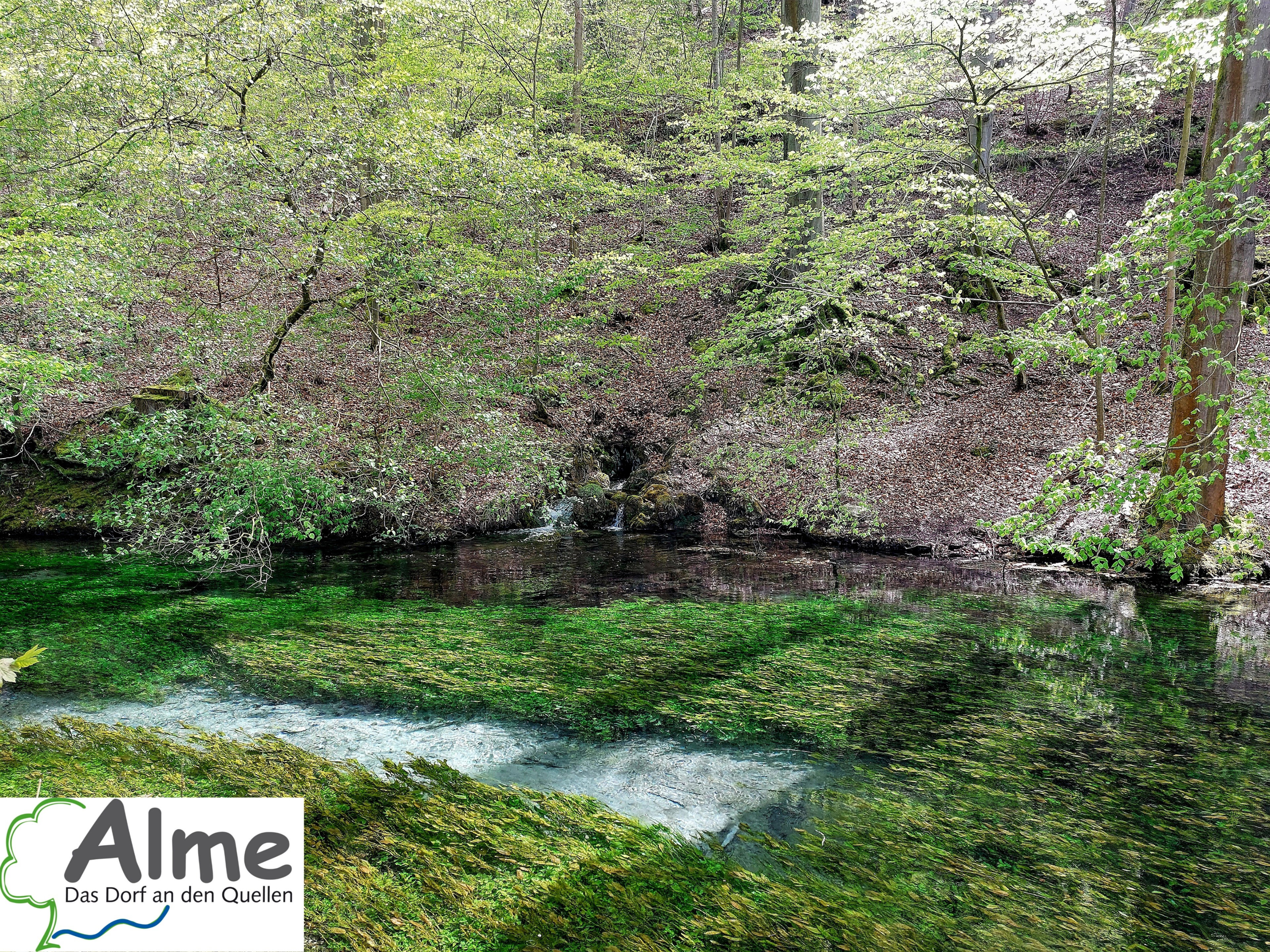 Naturhäuschen in Brilon-Alme