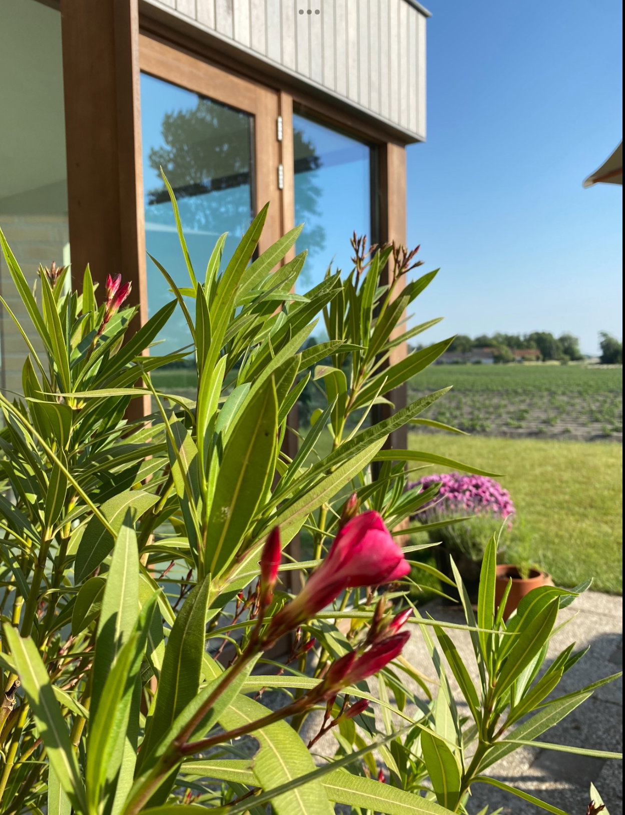 Casa nella natura a Walcheren, Gapinge