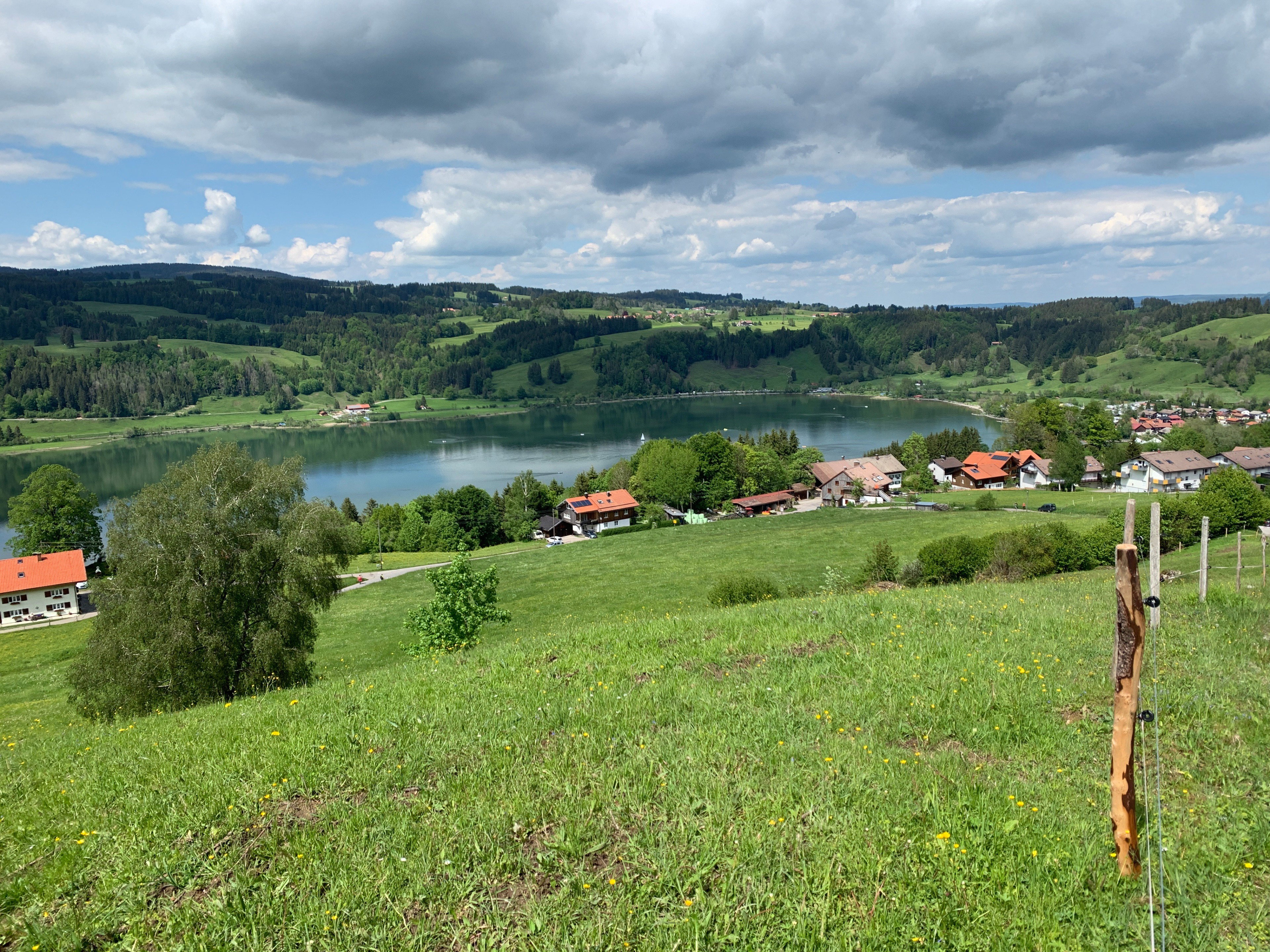 - image: 25