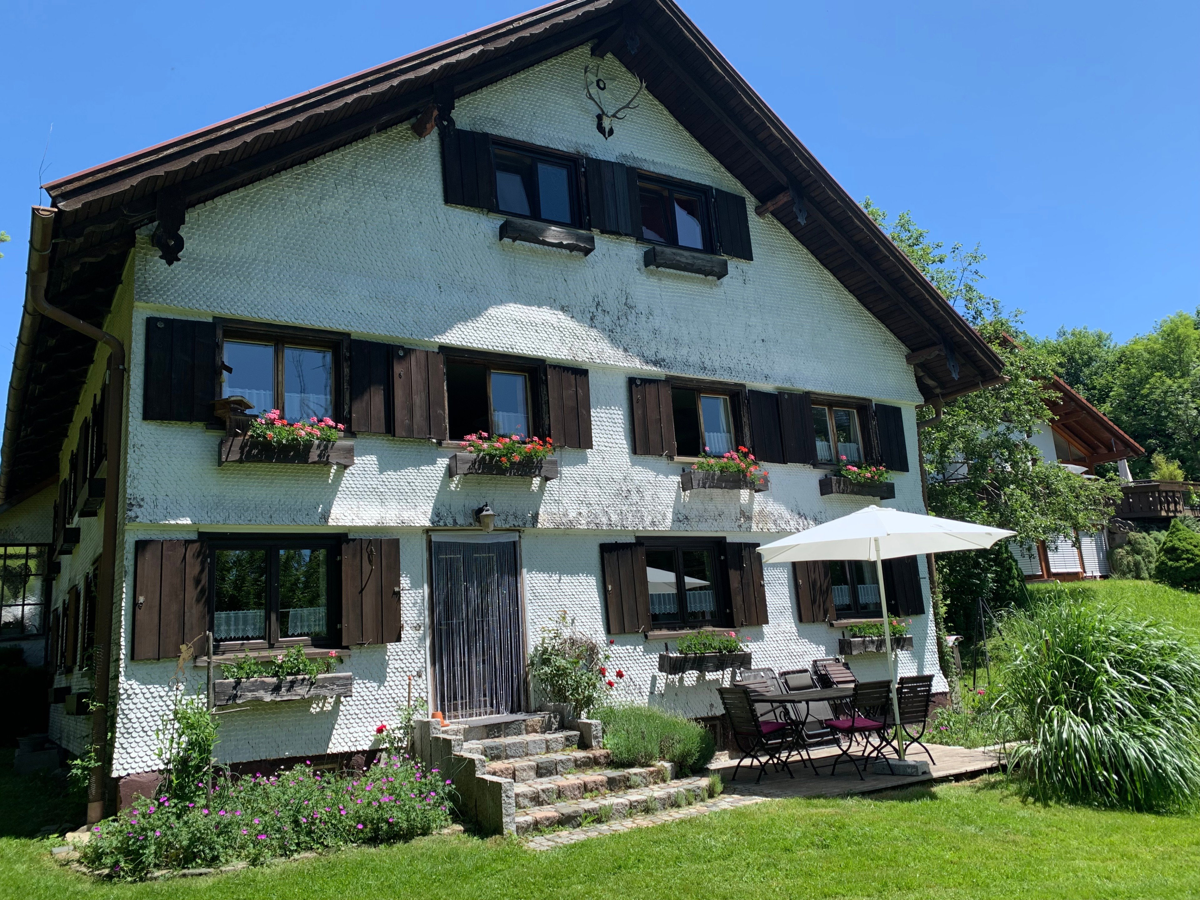 - image: 31