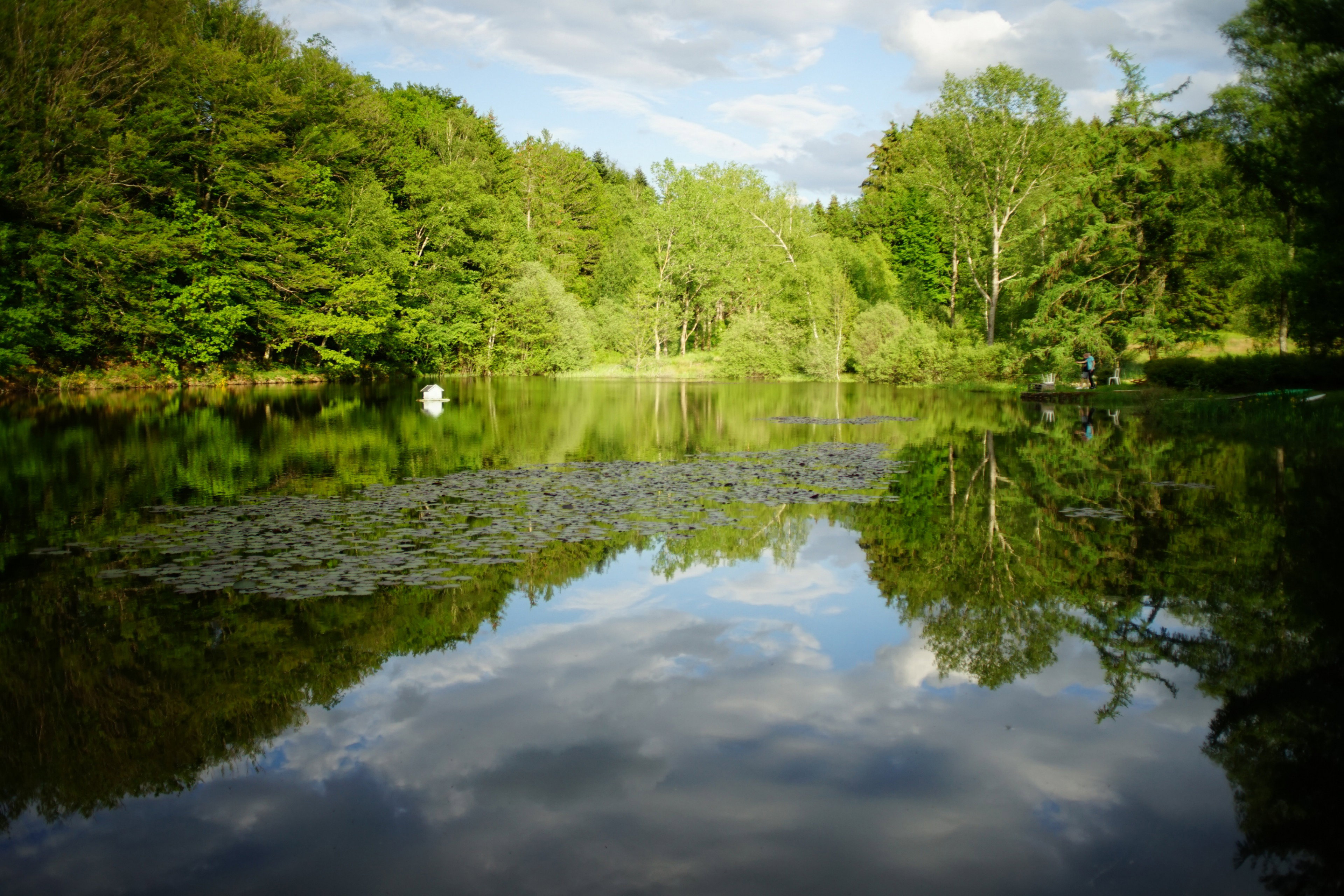 Maison nature à Saint-Nabord