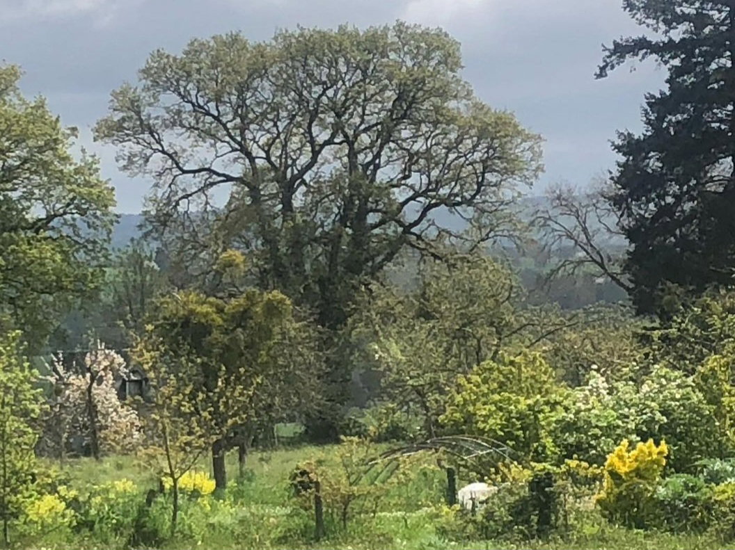 Casa nella natura a Montbray