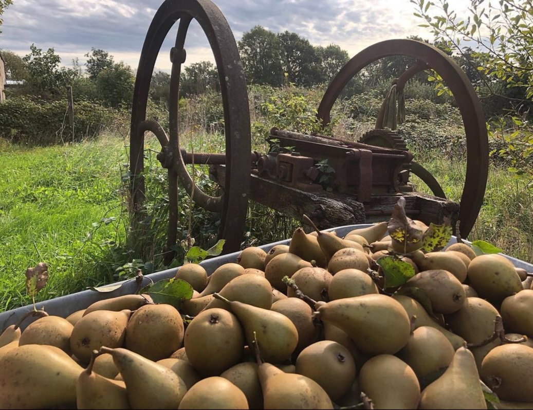 Casa nella natura a Montbray