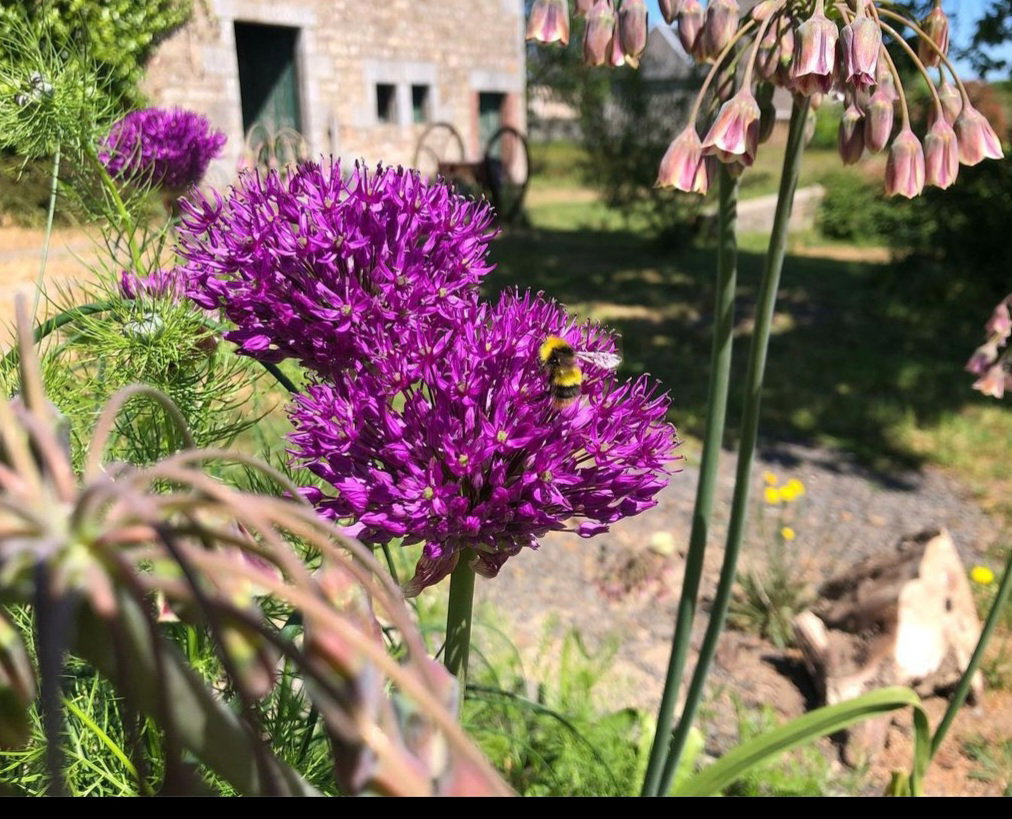 Casa nella natura a Montbray