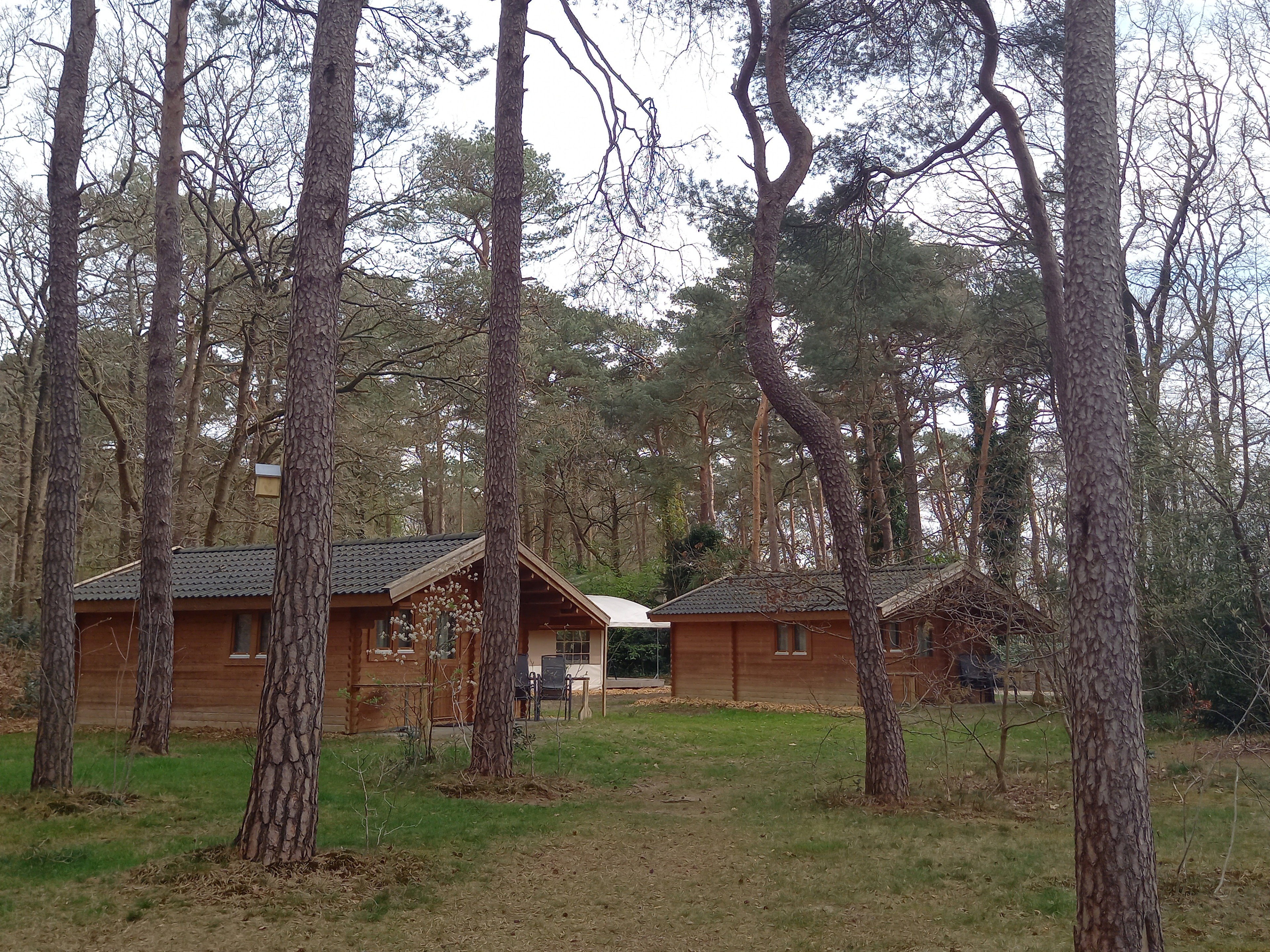 Natuurhuisje in Norg
