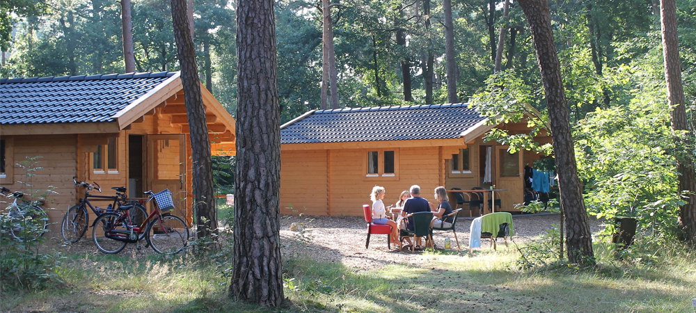 Natuurhuisje in Norg
