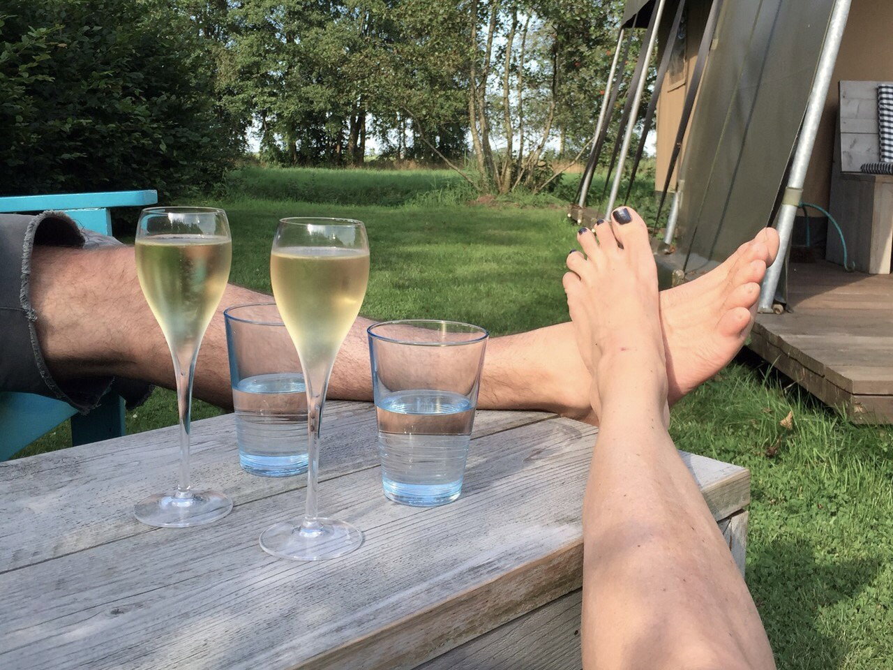 Natuurhuisje in Delfstrahuizen