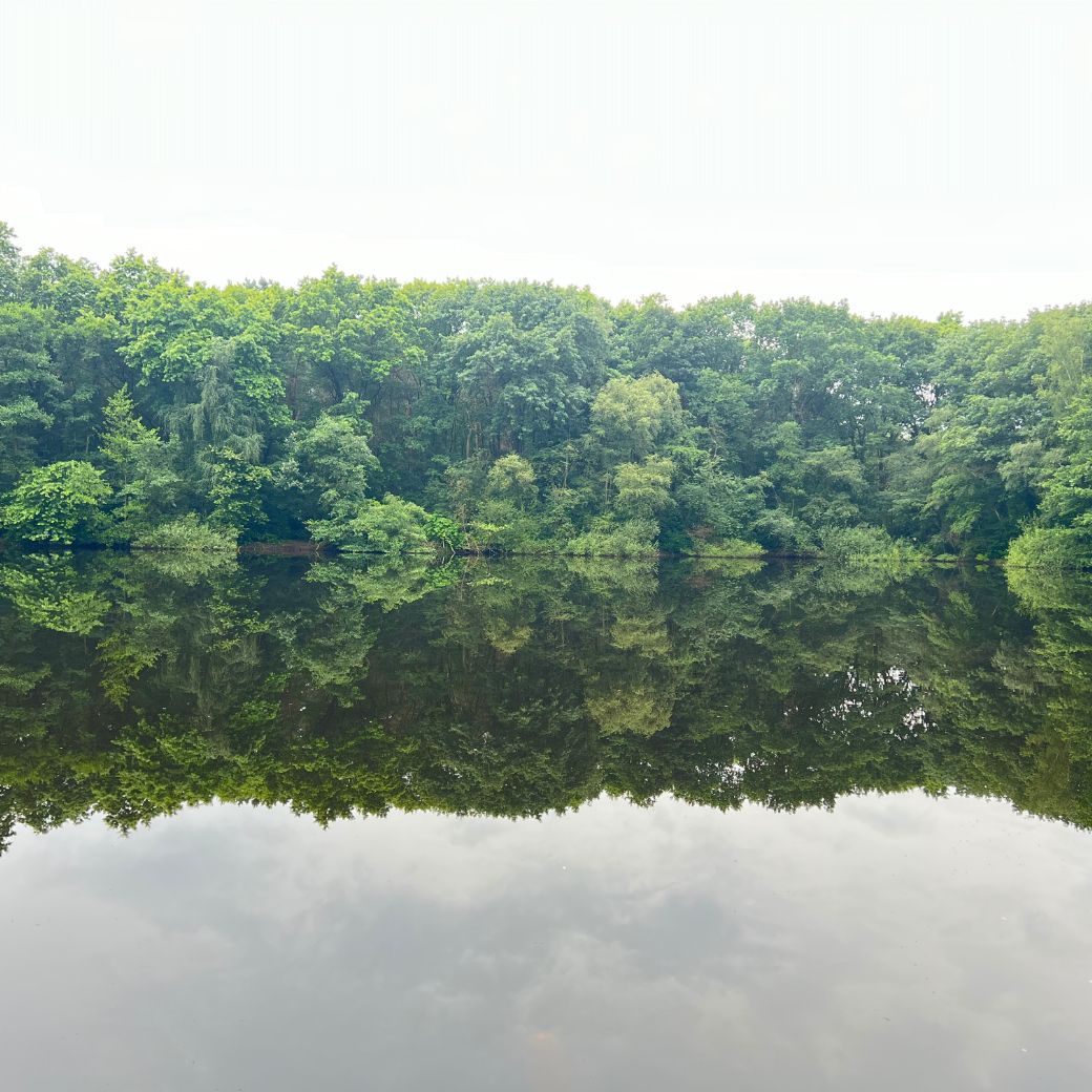 - image: 16