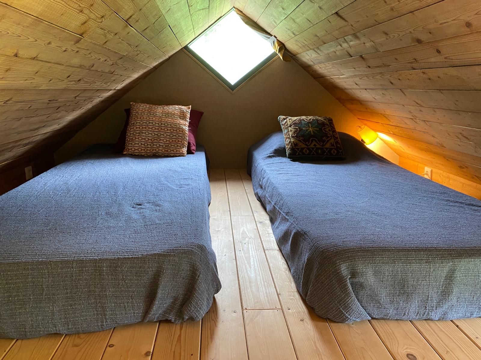 - image: 23