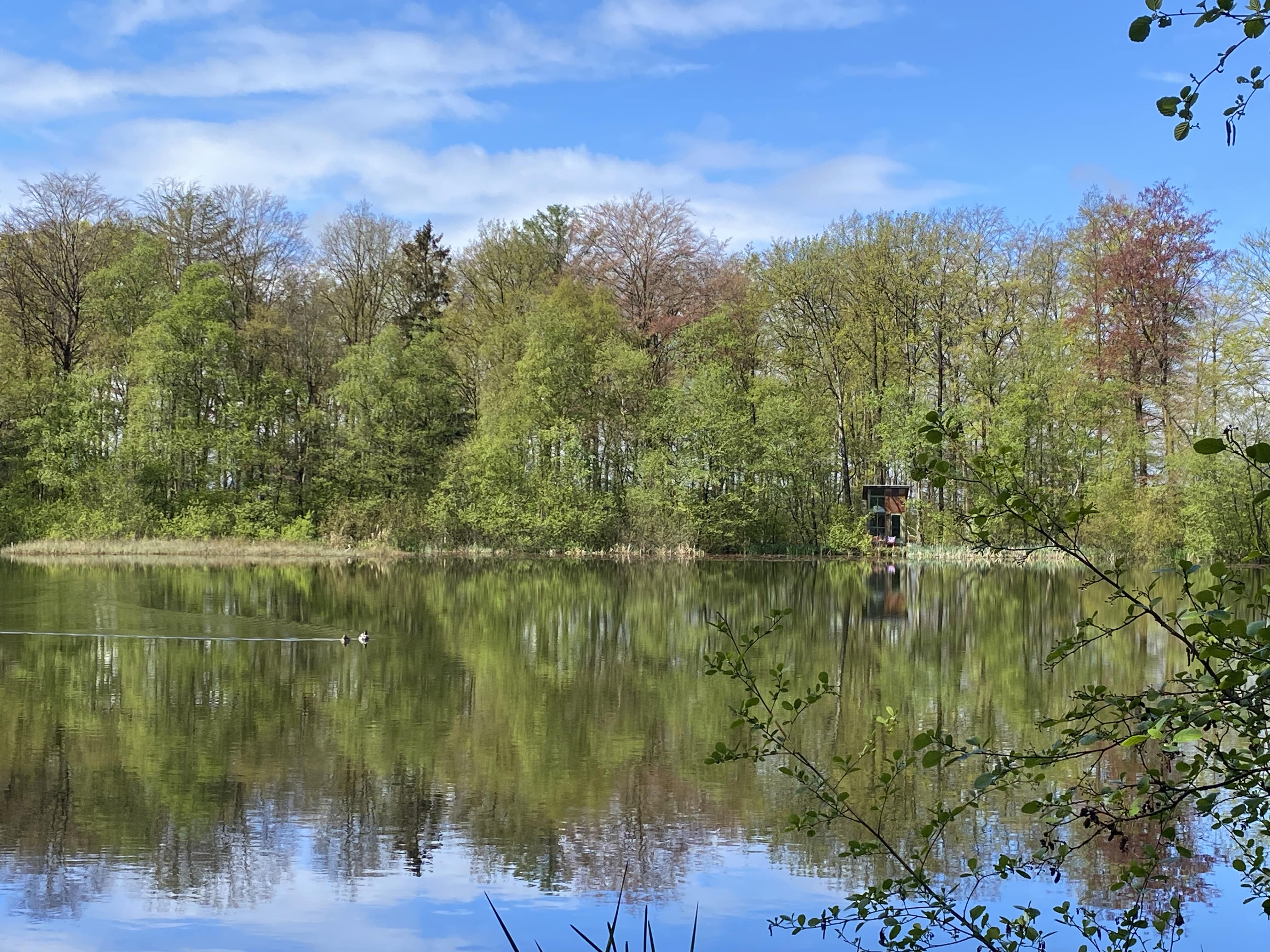 Naturhäuschen in Papenvoort