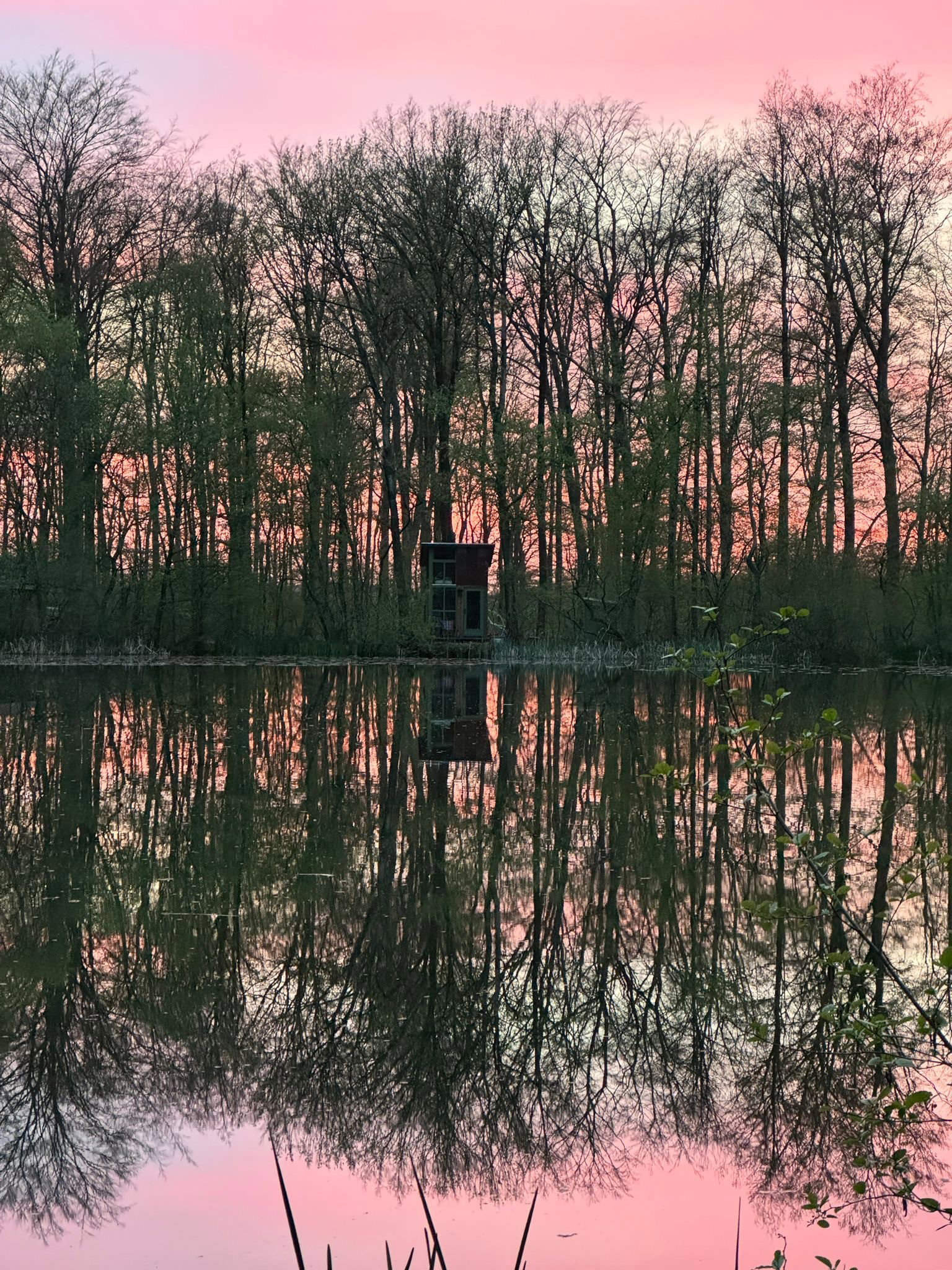Naturhäuschen in Papenvoort