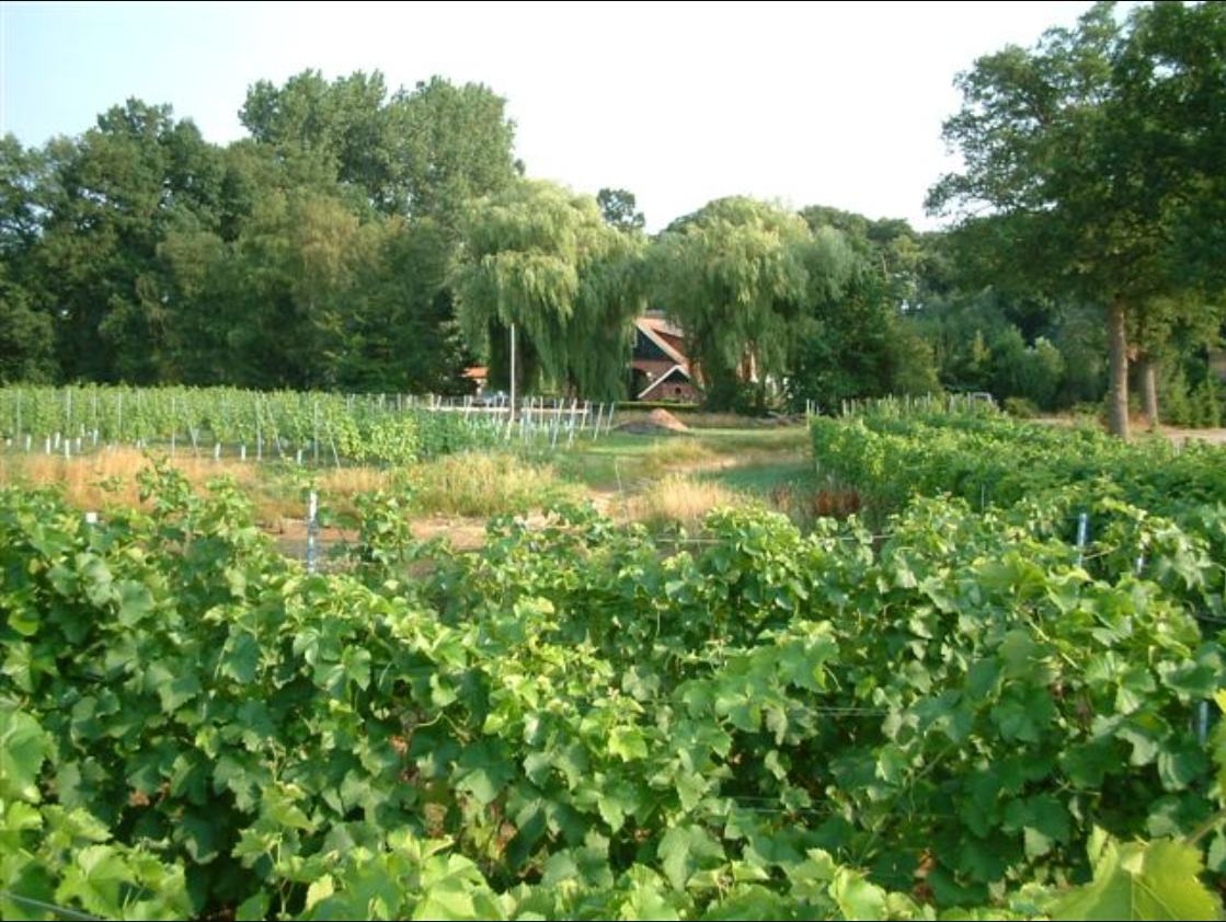 Naturhäuschen in Winterswijk Kotten