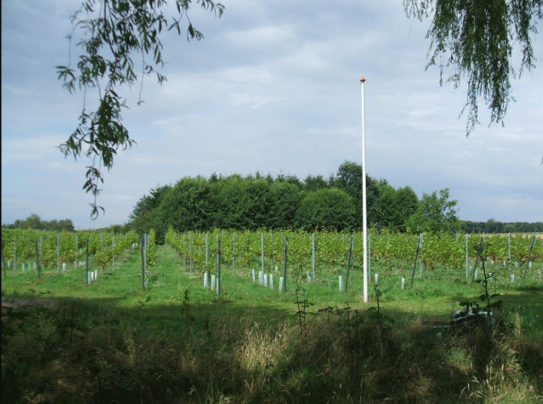 Naturhäuschen in Winterswijk Kotten