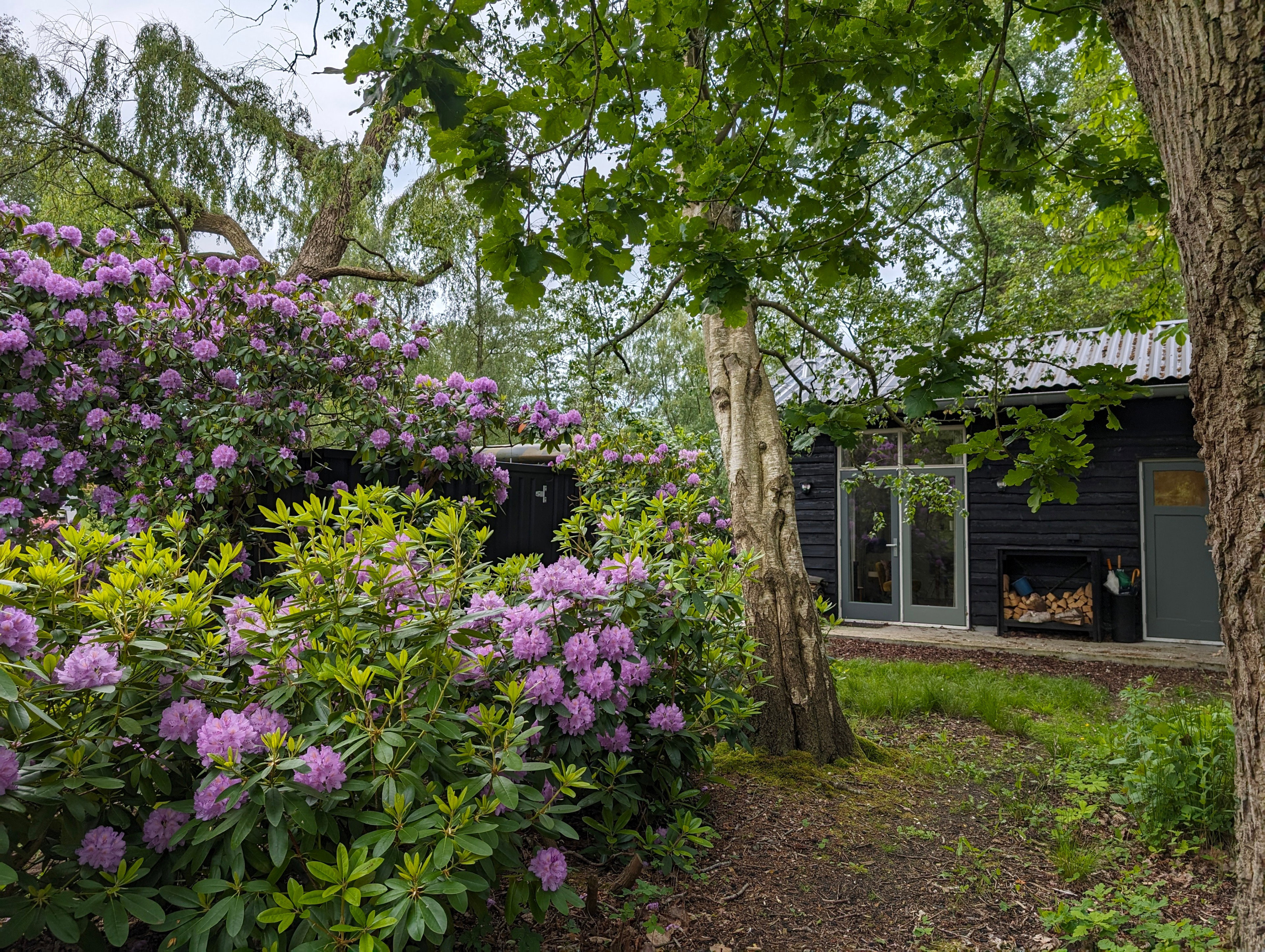Casa nella natura a Kortenhoef