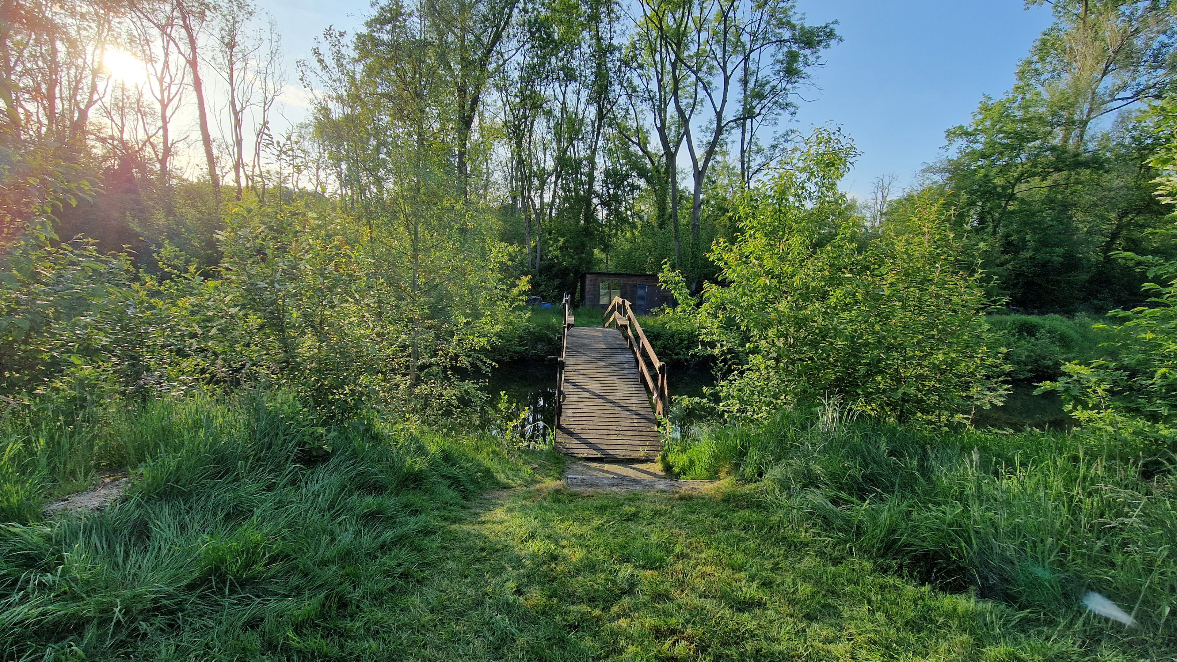 - image: 12